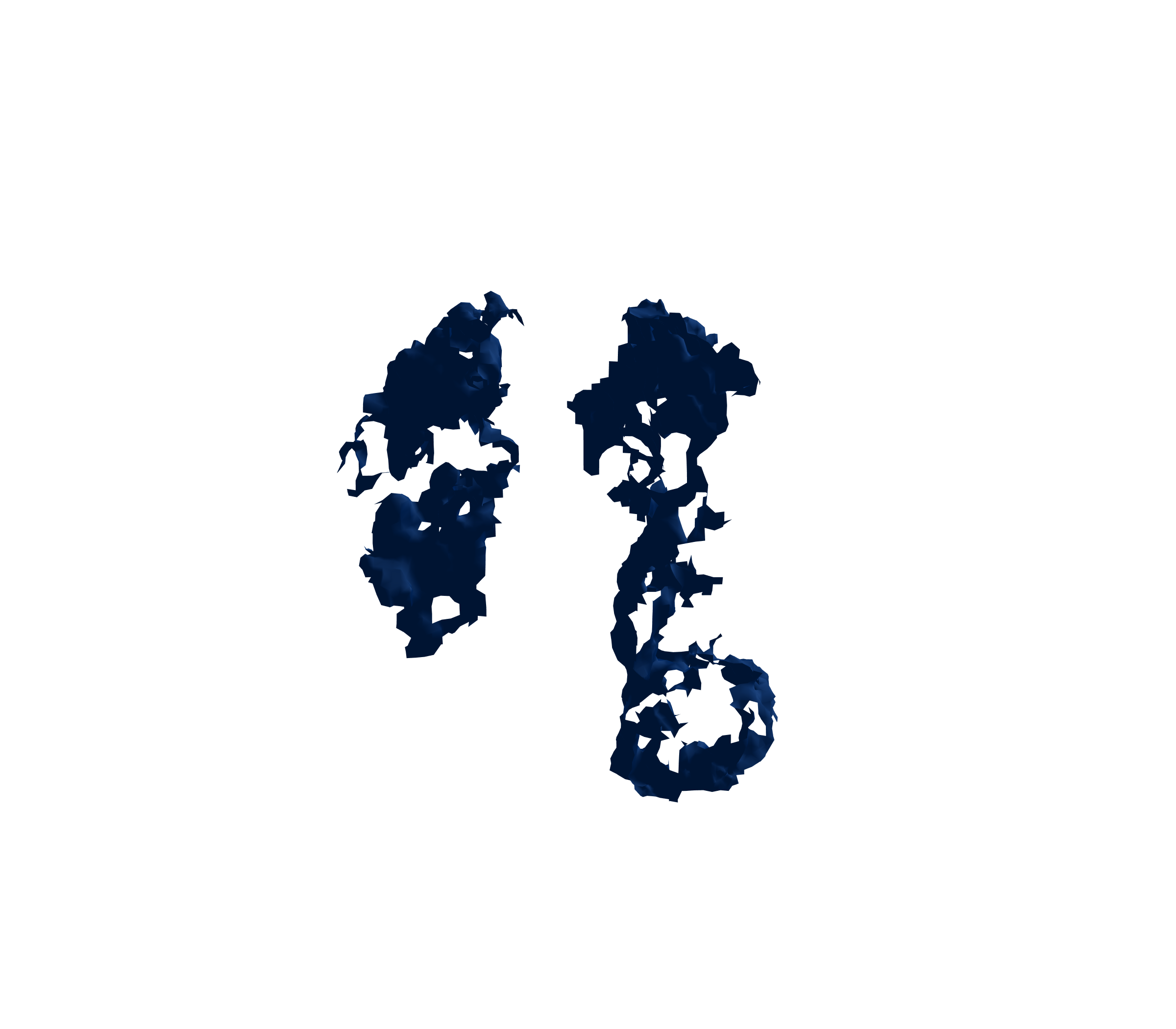 Surface Mesh (Inspiration) - Front View