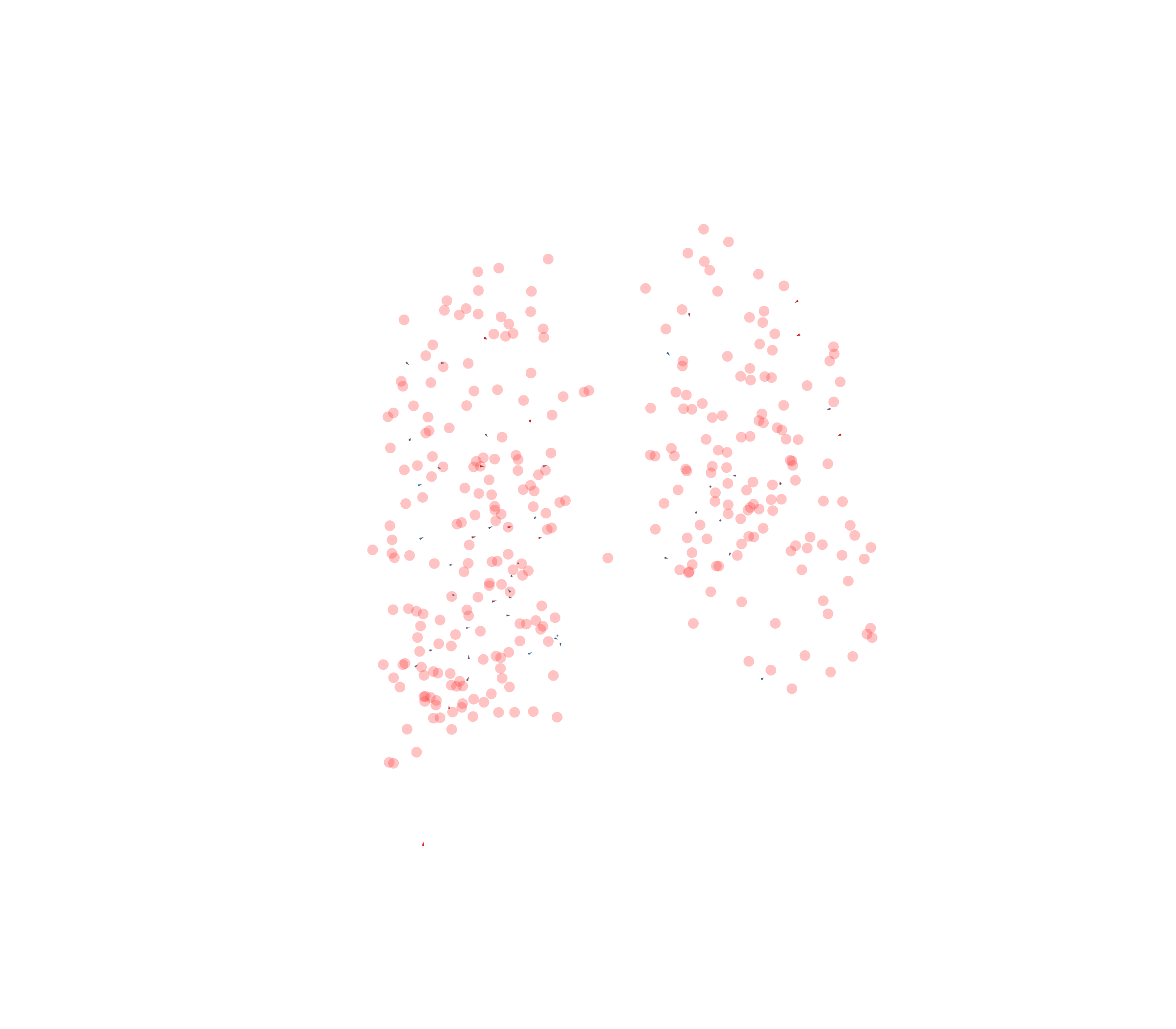 Displacement Vectors - Back View