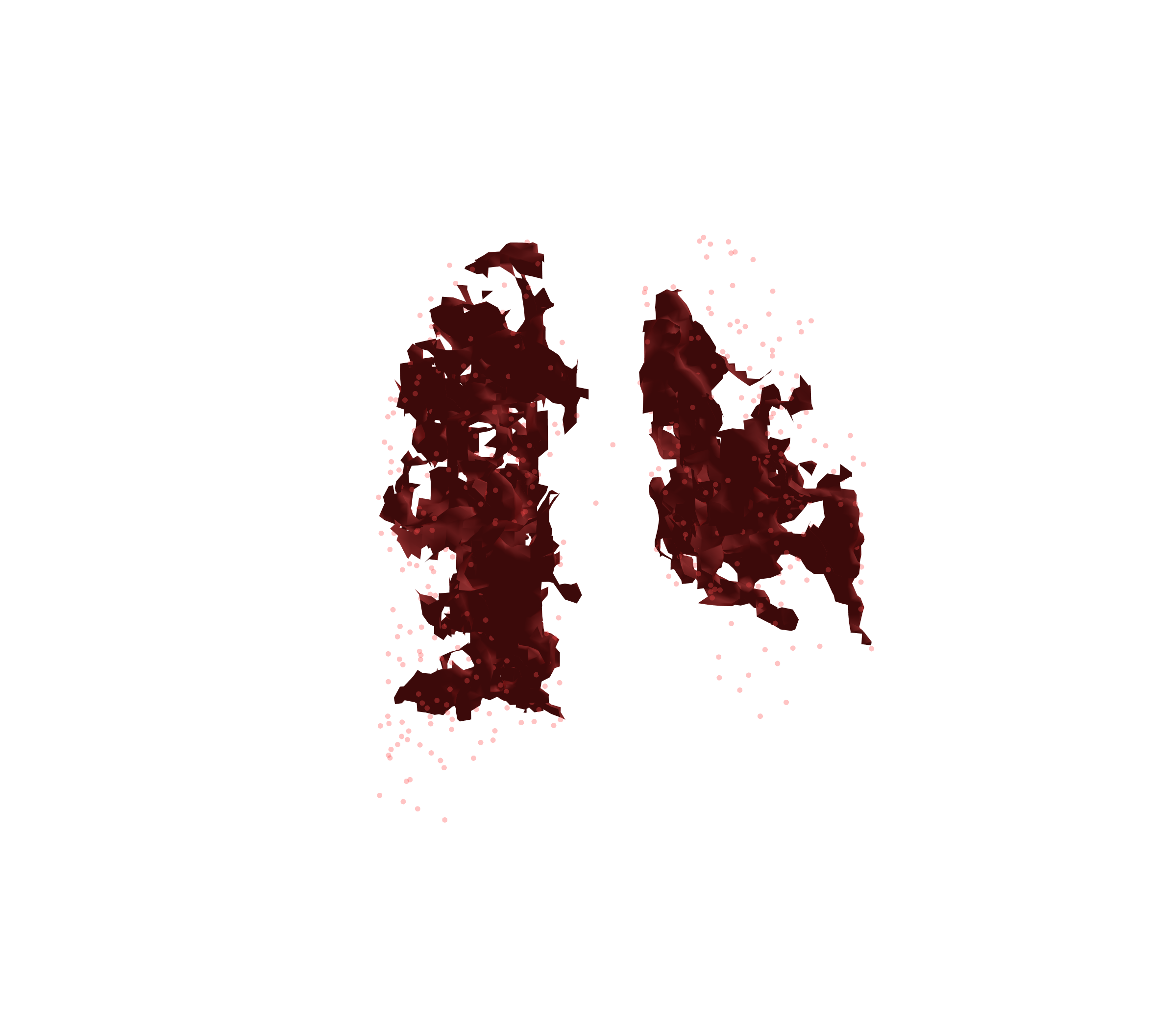 Combined Visualization (Expiration) - Back View