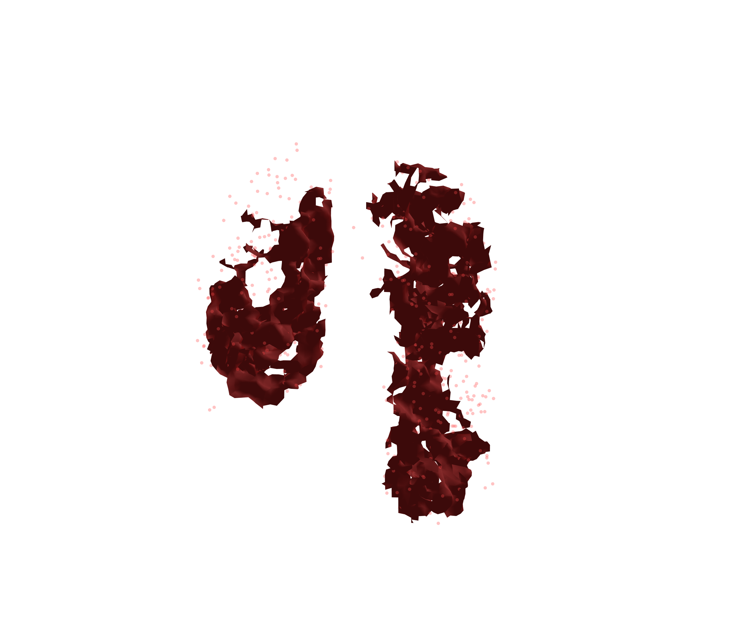 Combined Visualization (Expiration) - Front View