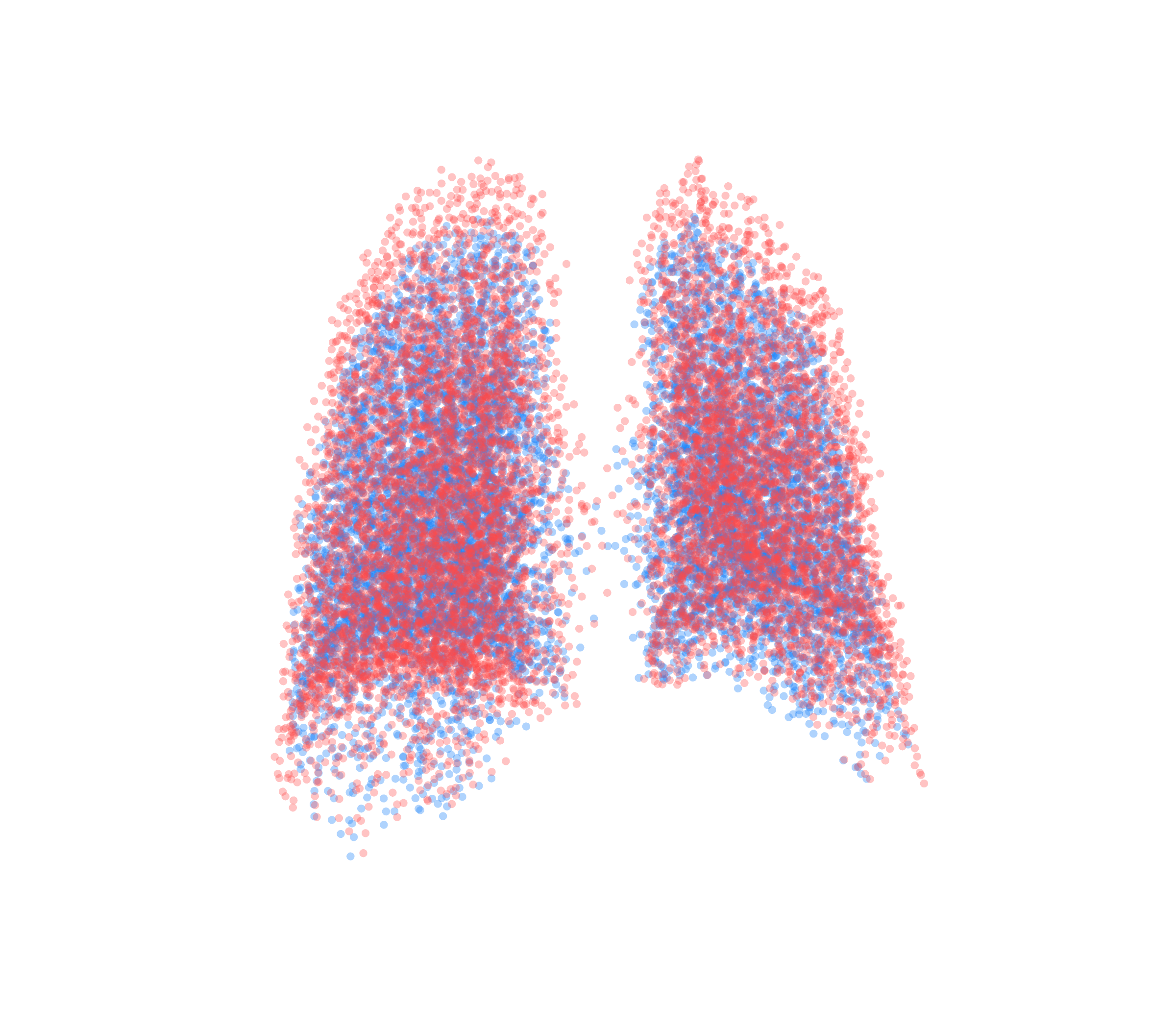 Point Cloud - Back View