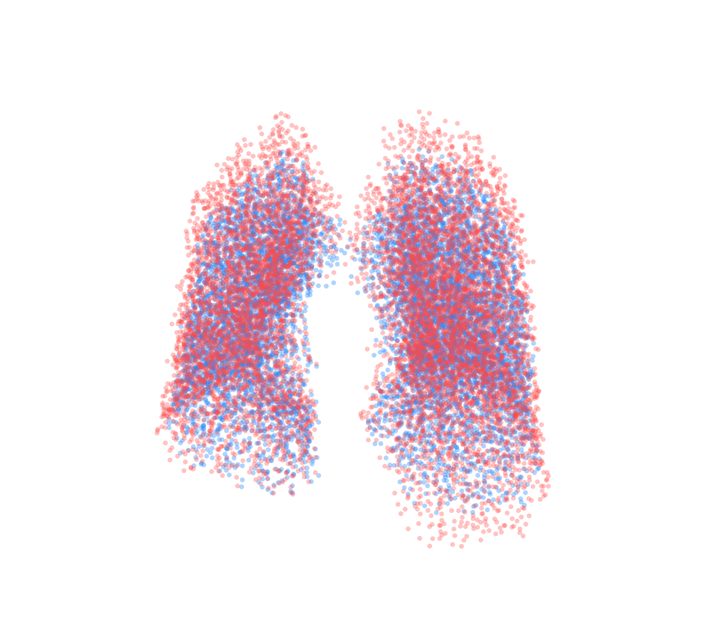 Point Cloud - Front View