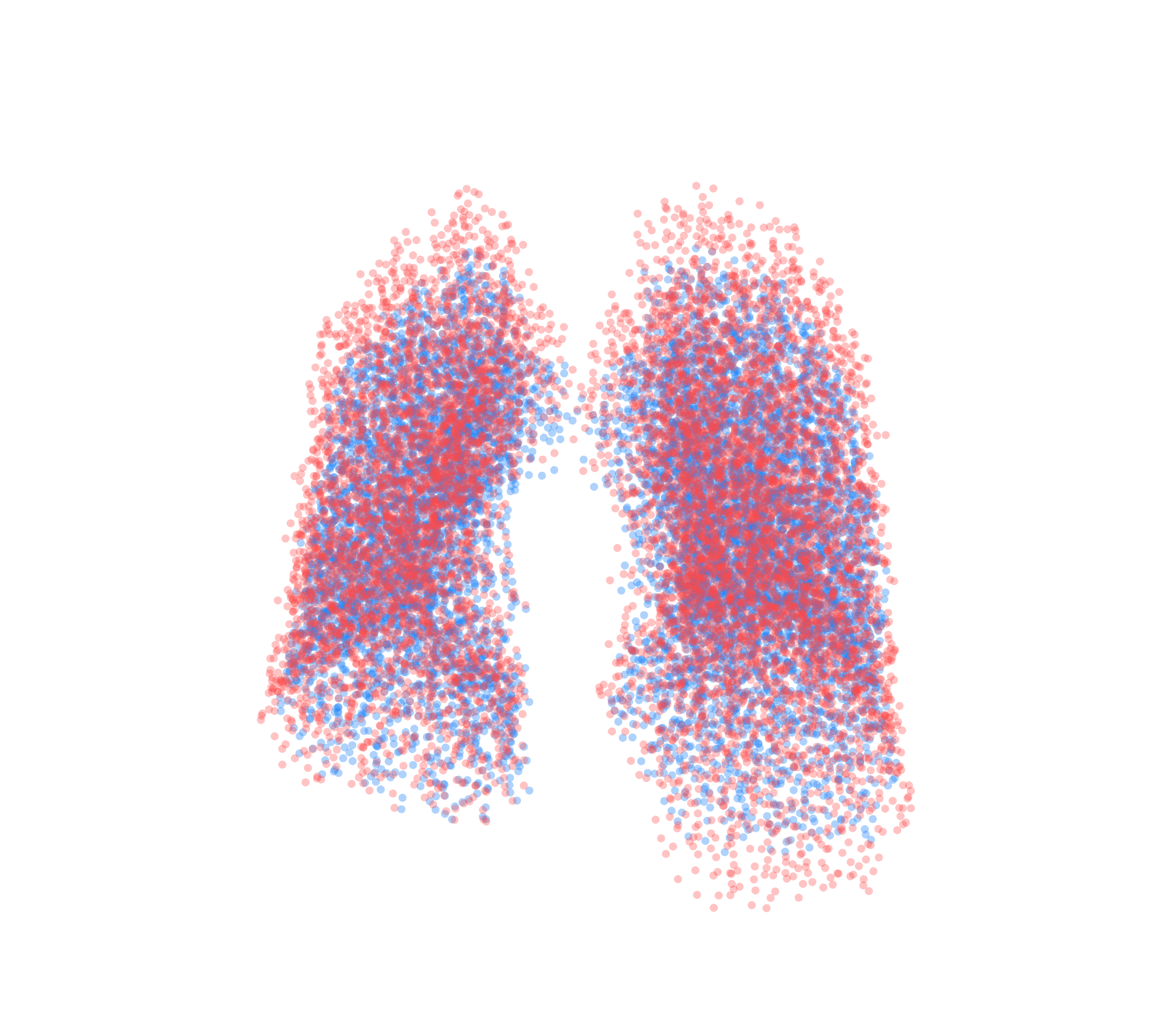 Point Cloud - Front View