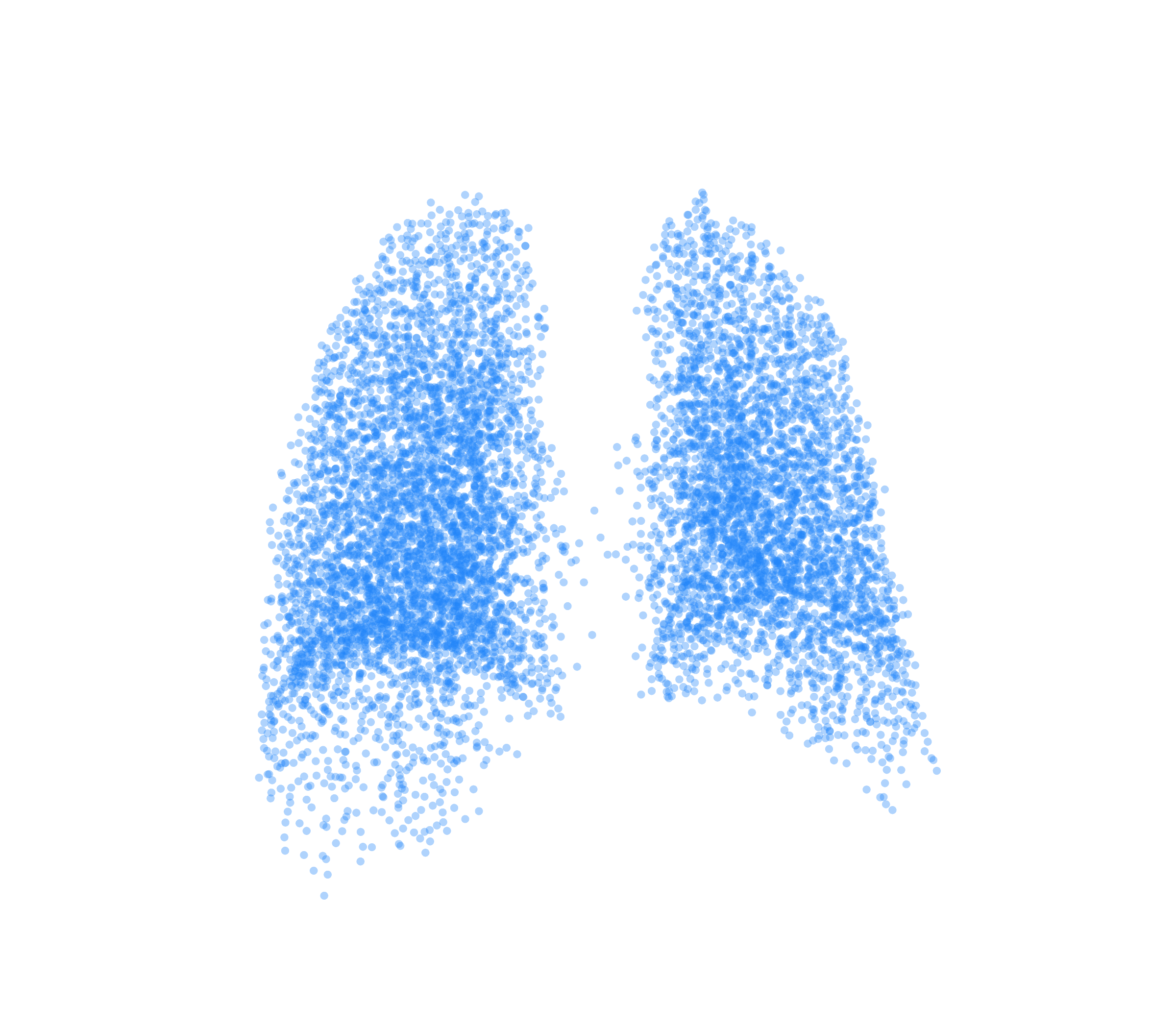 Point Cloud (Inspiration) - Back View