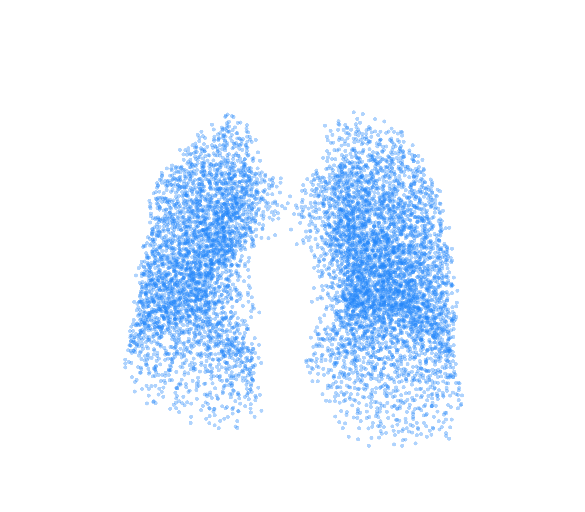 Point Cloud (Inspiration) - Front View