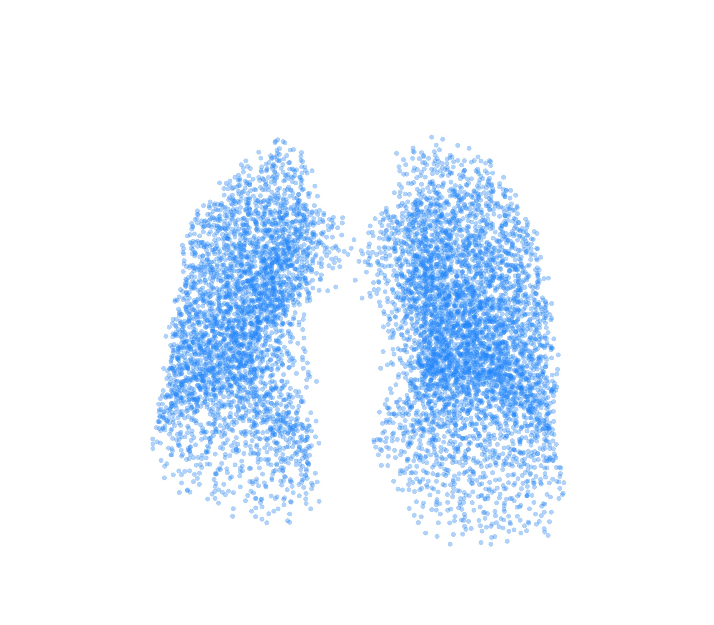 Point Cloud (Inspiration) - Front View