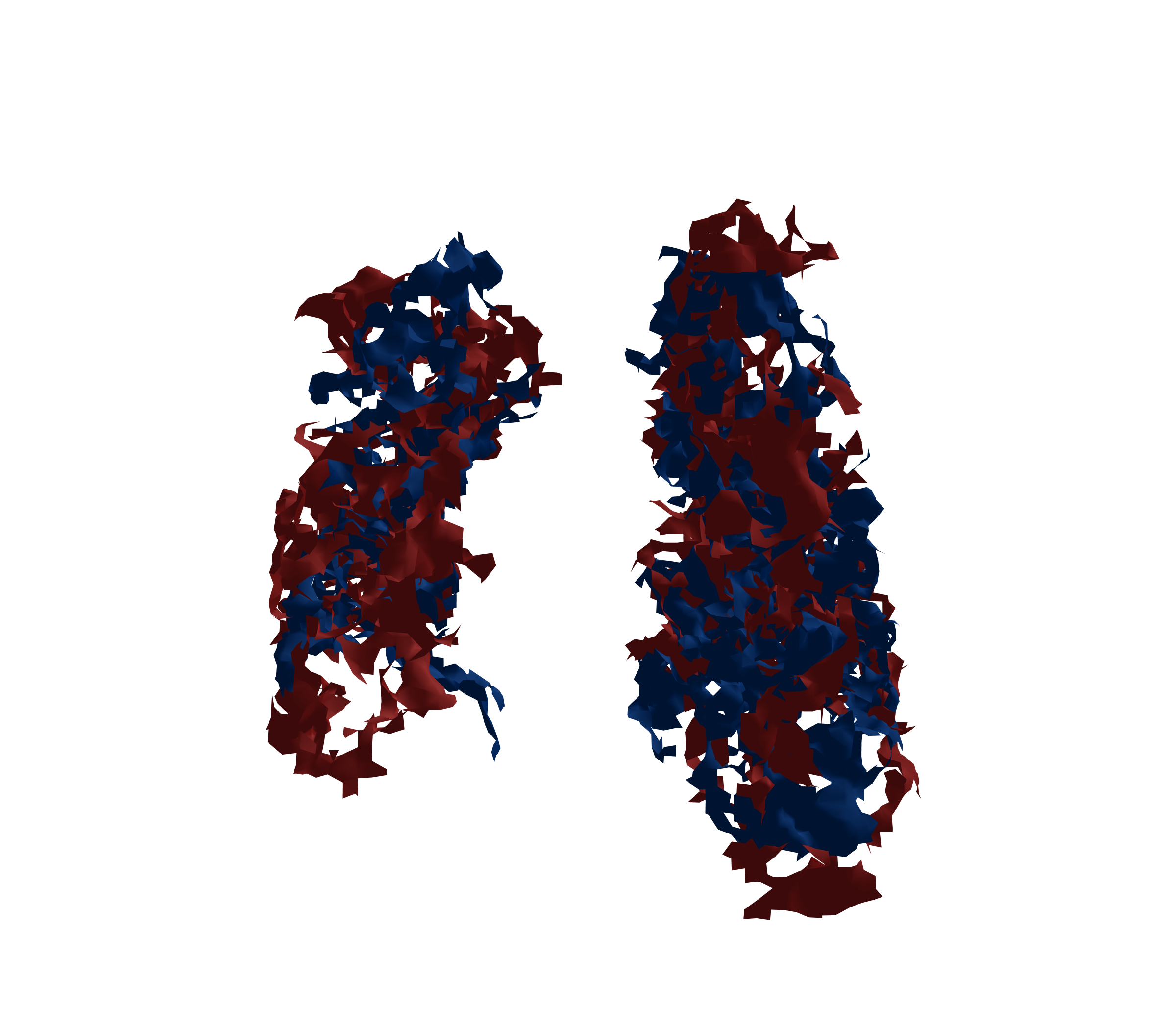 Surface Mesh - Front View