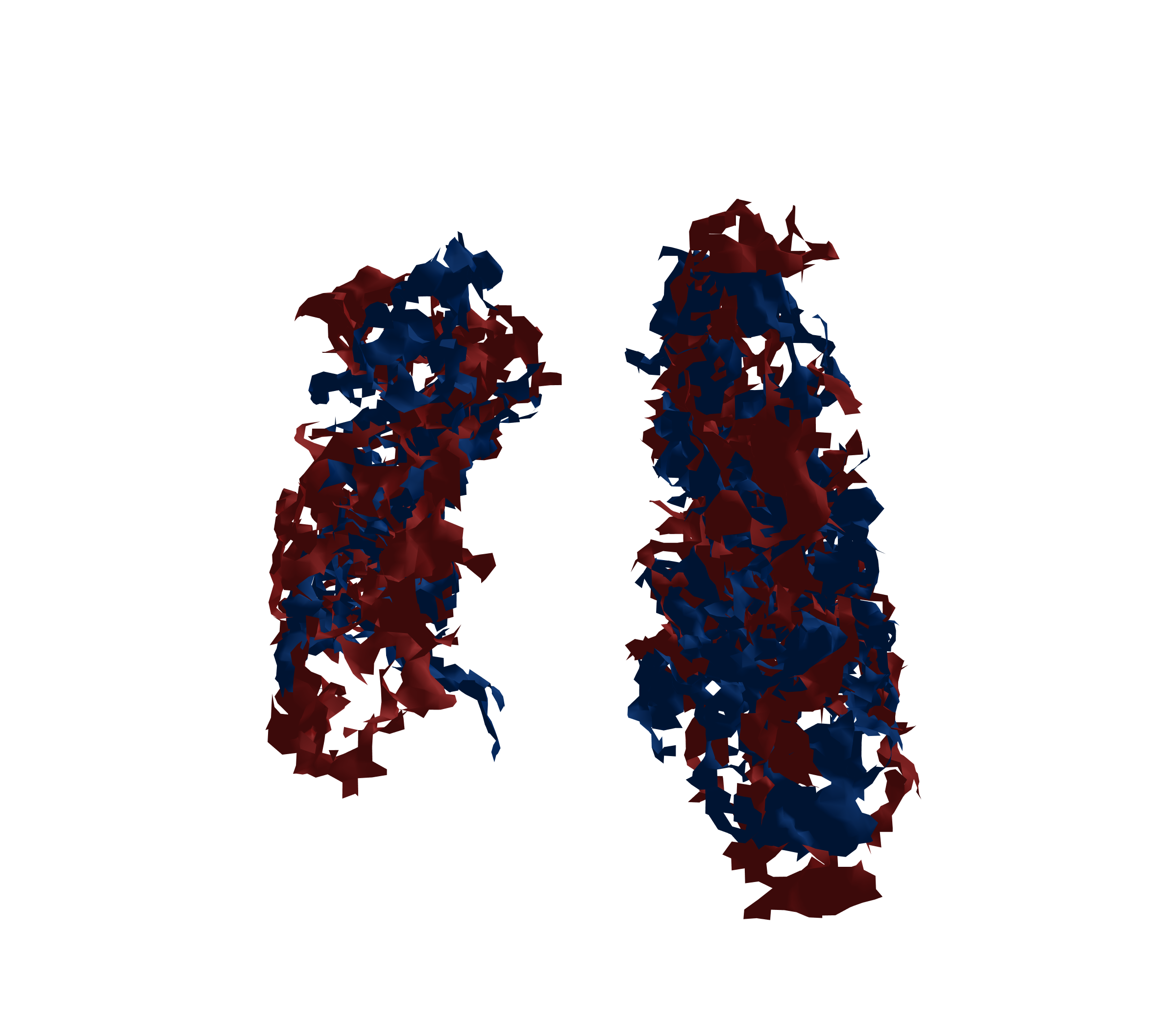 Surface Mesh - Front View