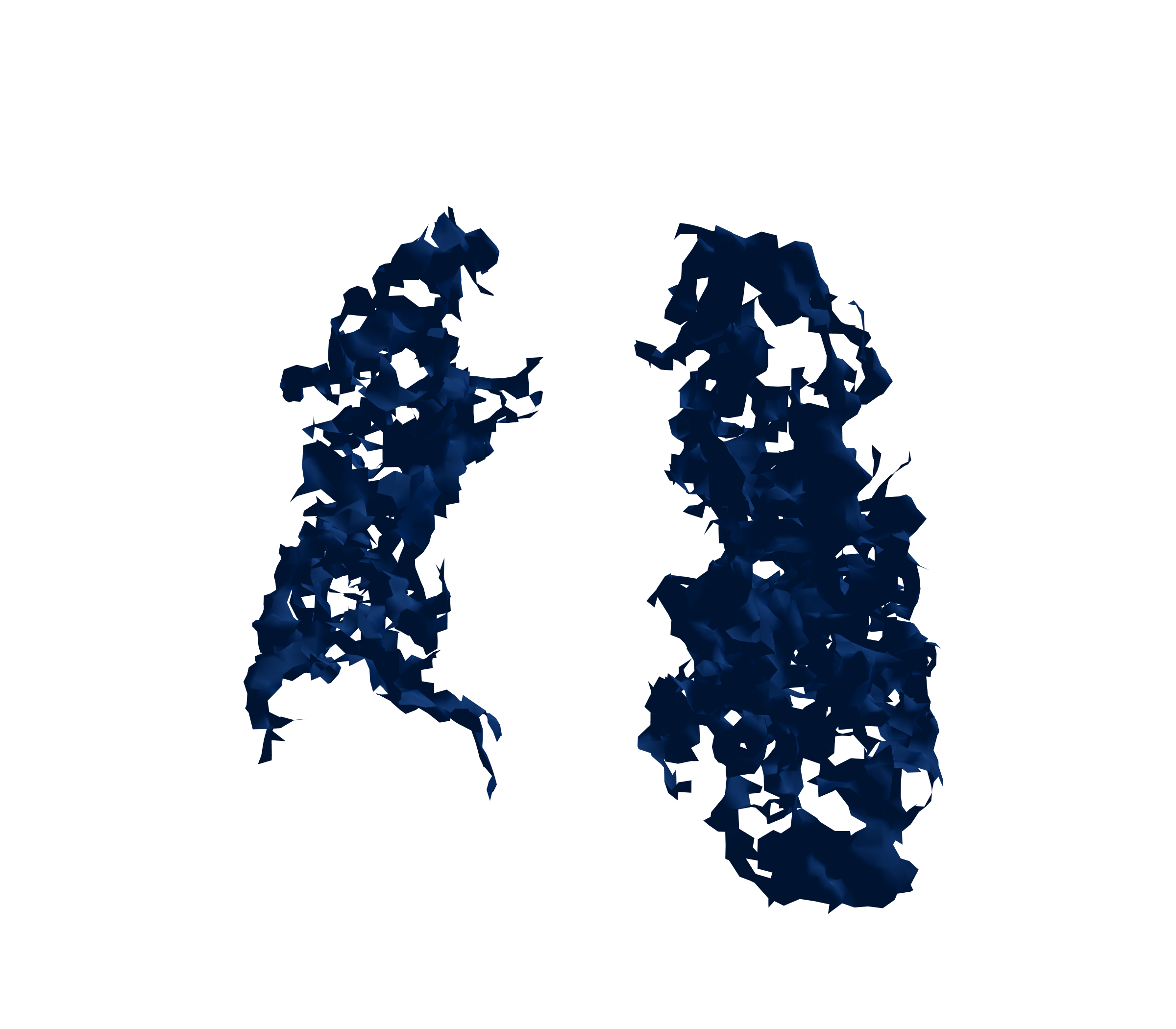 Surface Mesh (Inspiration) - Front View