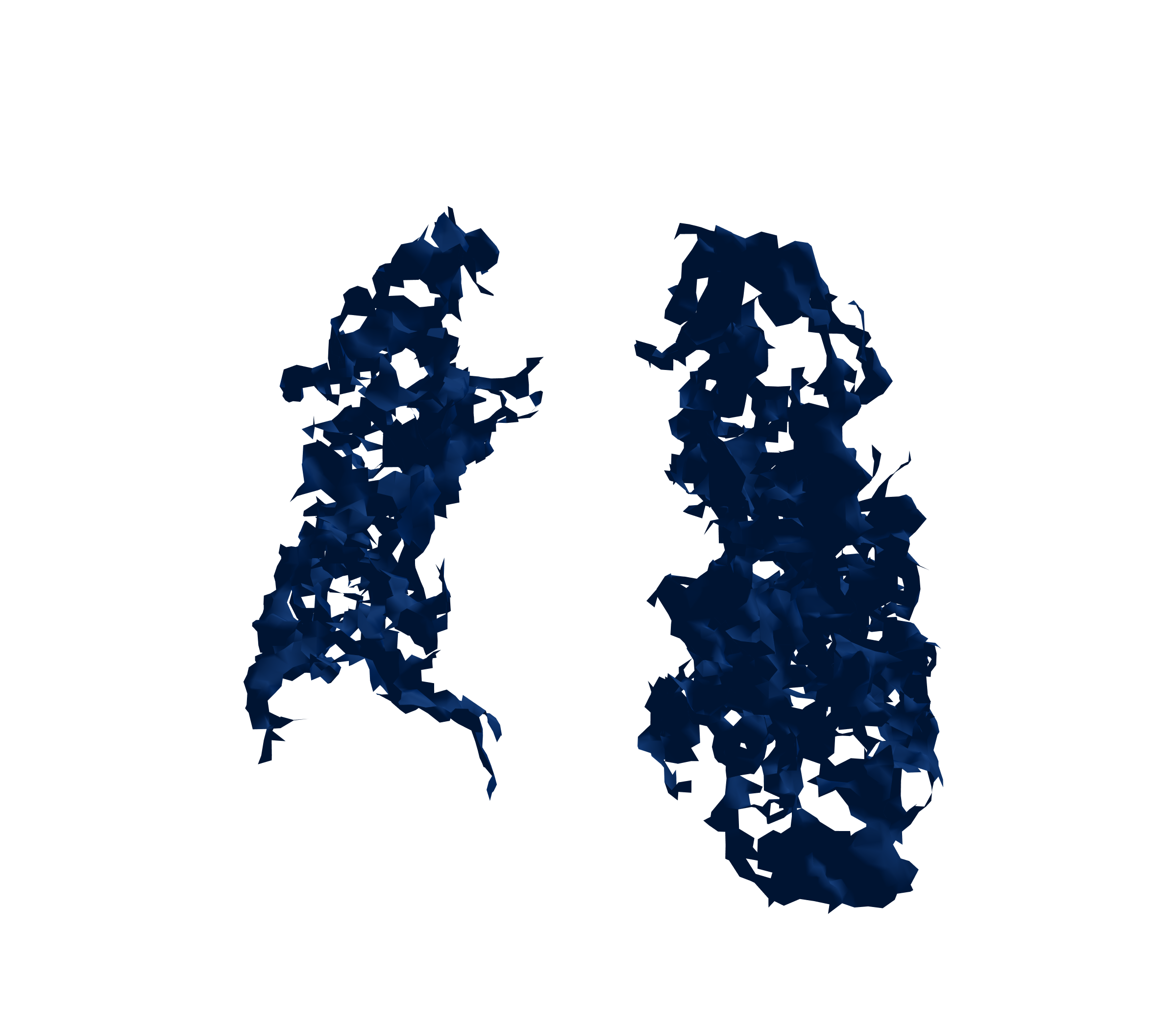 Surface Mesh (Inspiration) - Front View