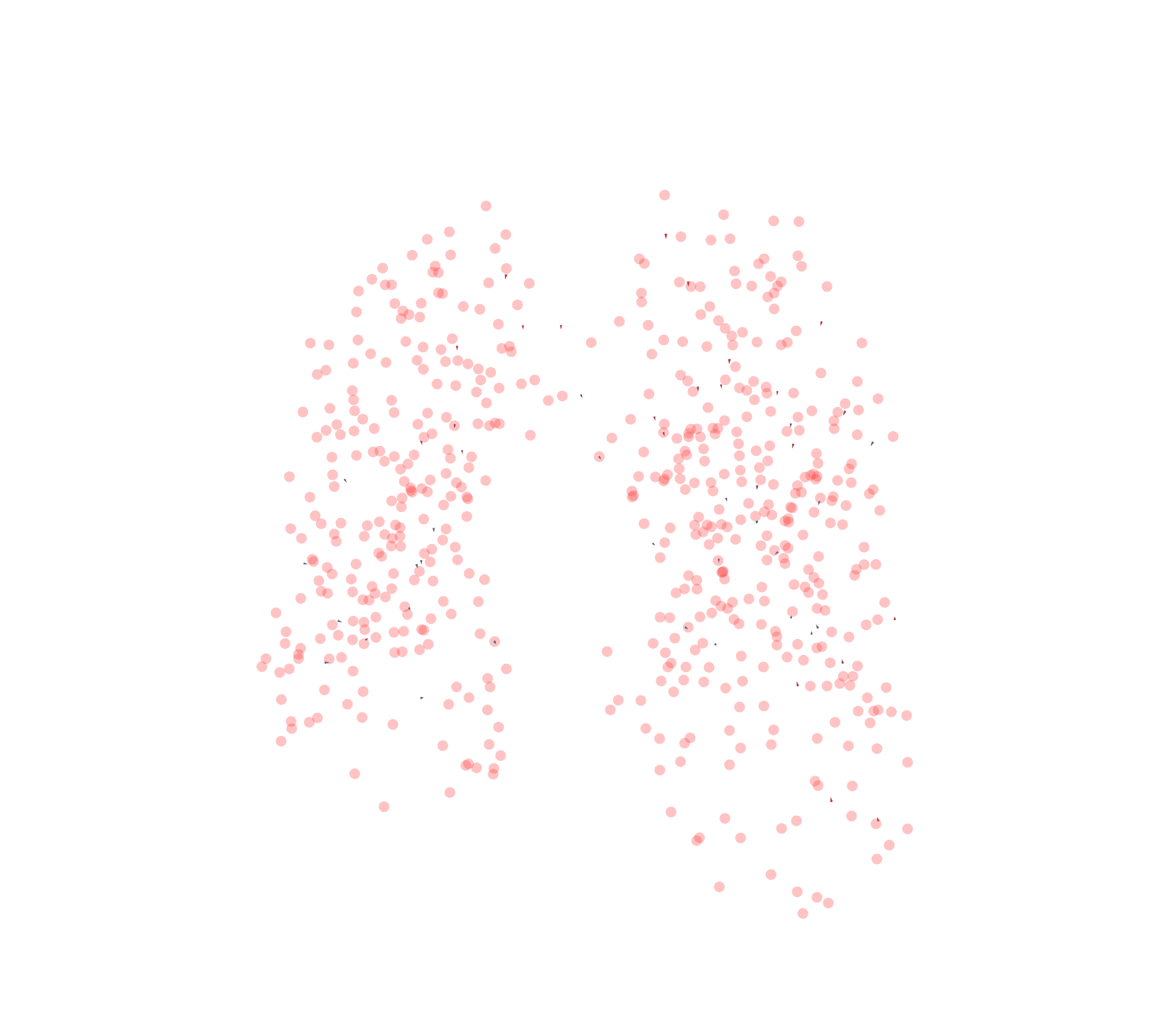 Displacement Vectors - Front View