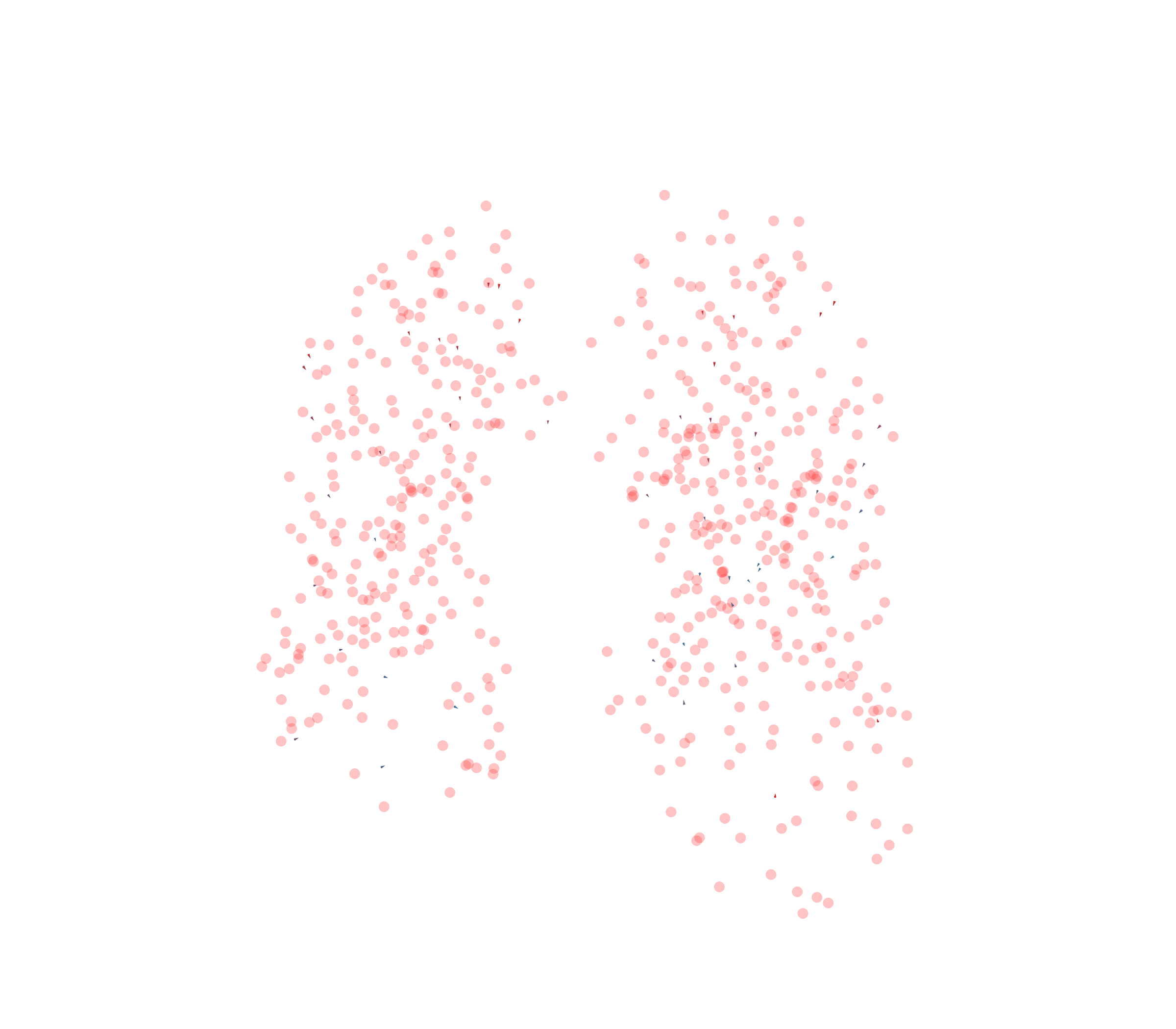 Displacement Vectors - Front View