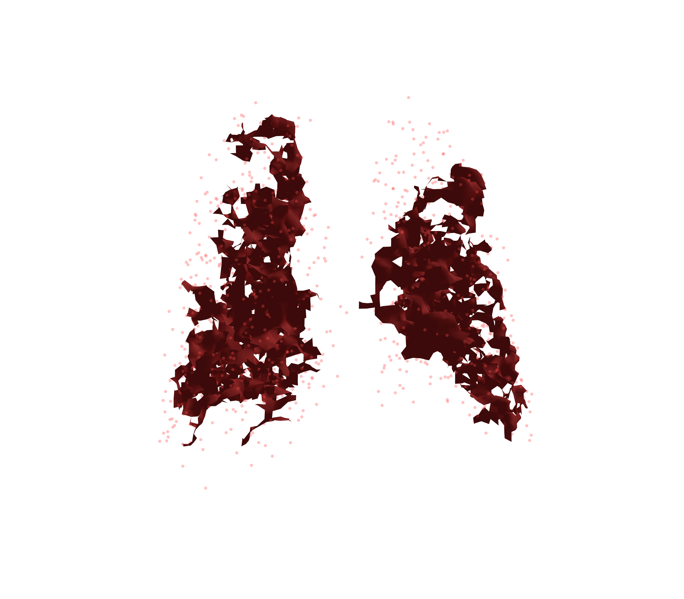 Combined Visualization (Expiration) - Back View