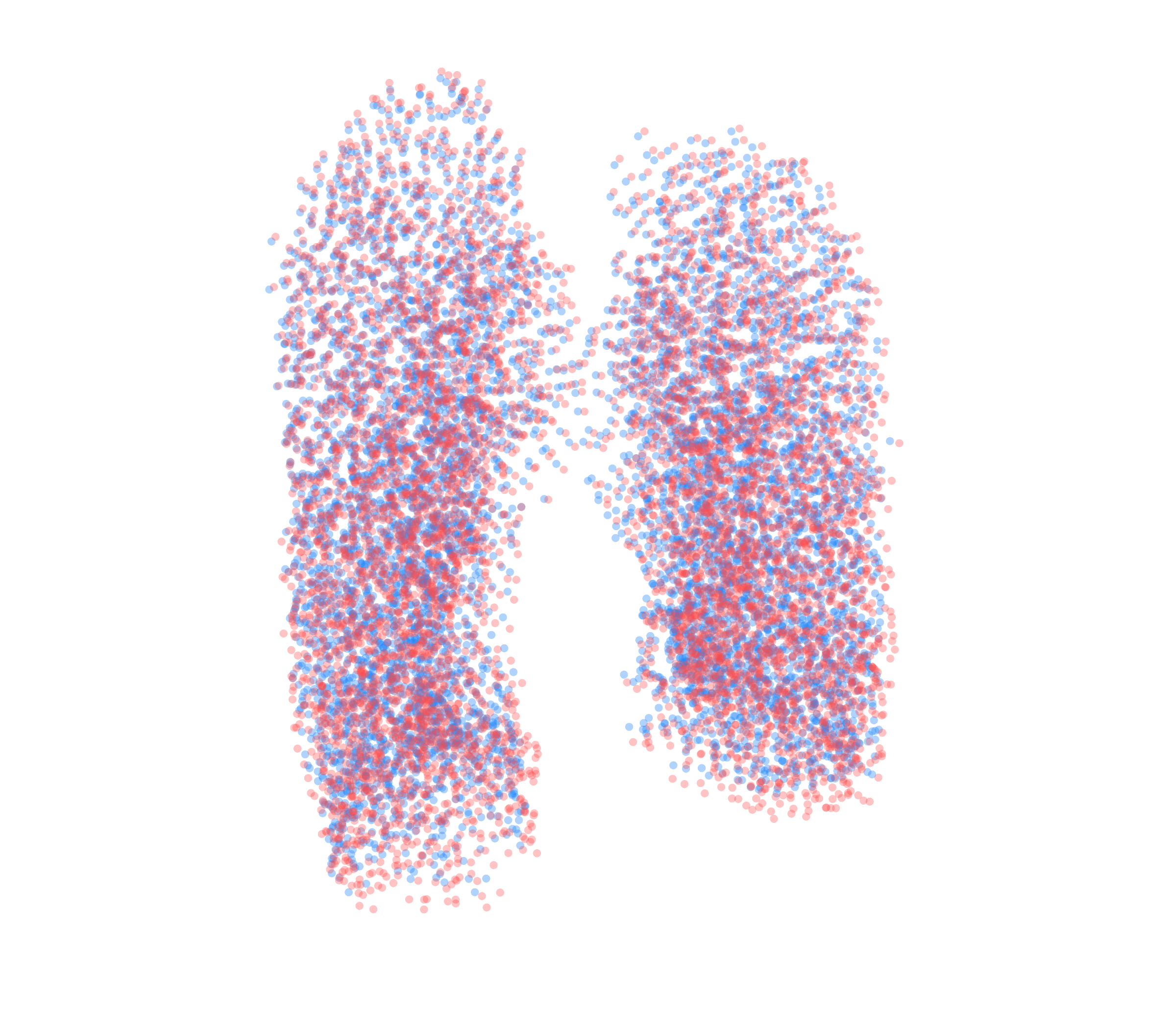 Point Cloud - Front View