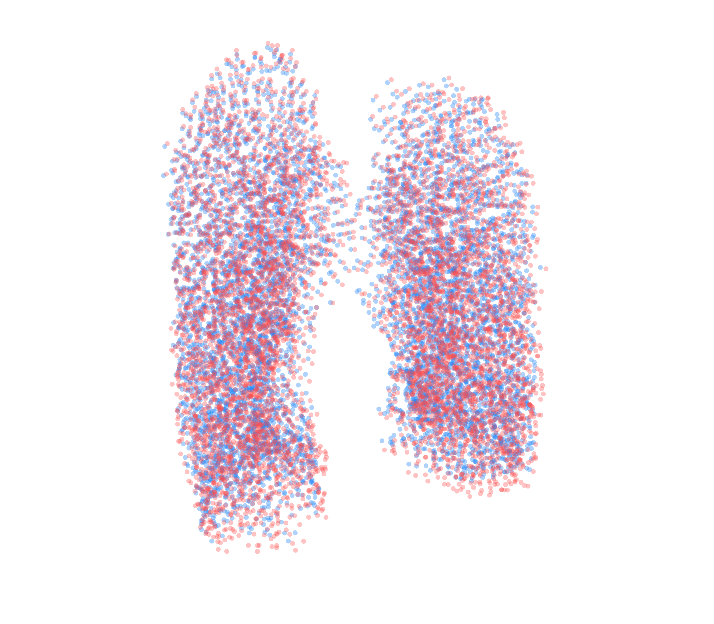 Point Cloud - Front View