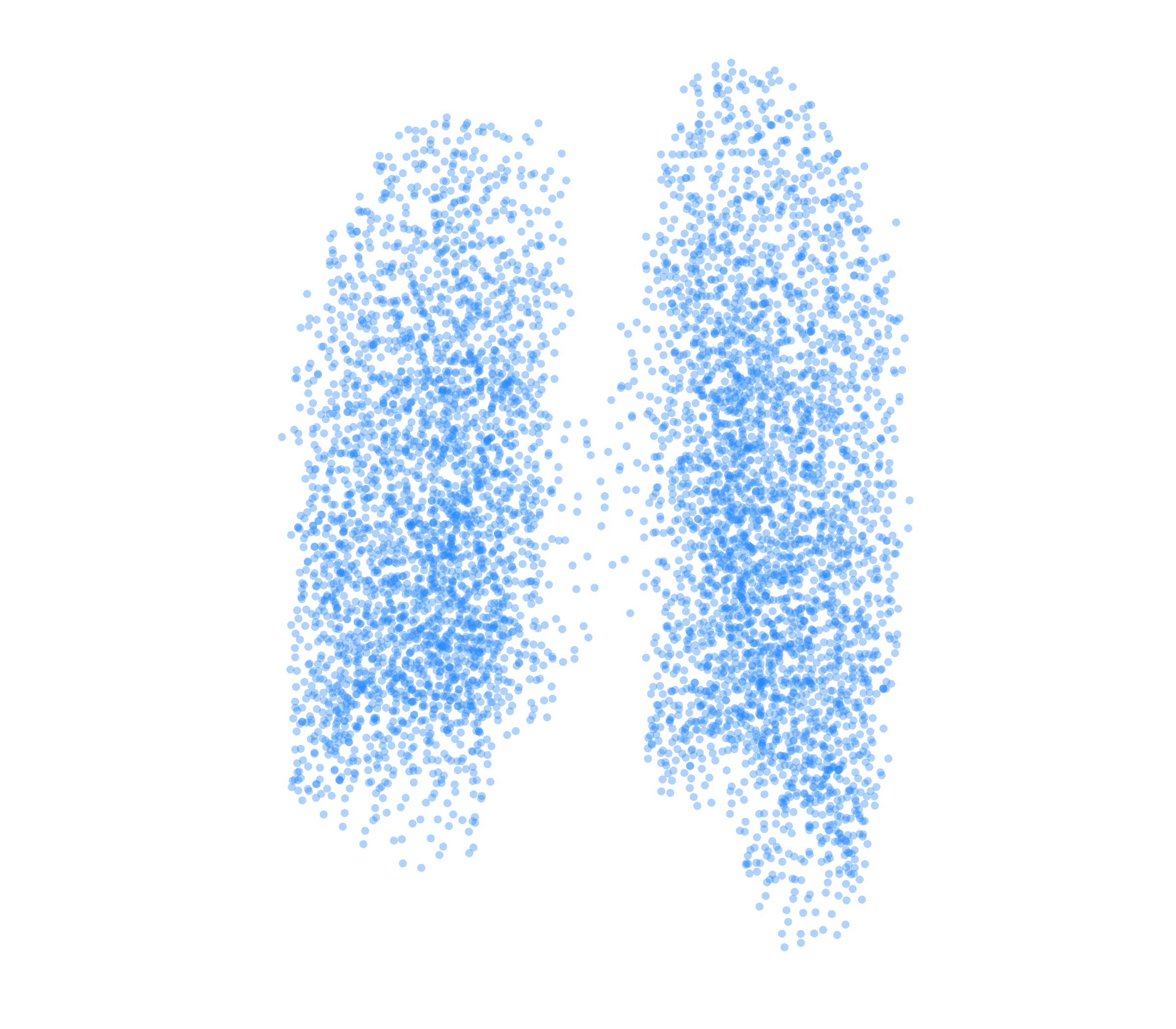 Point Cloud (Inspiration) - Back View