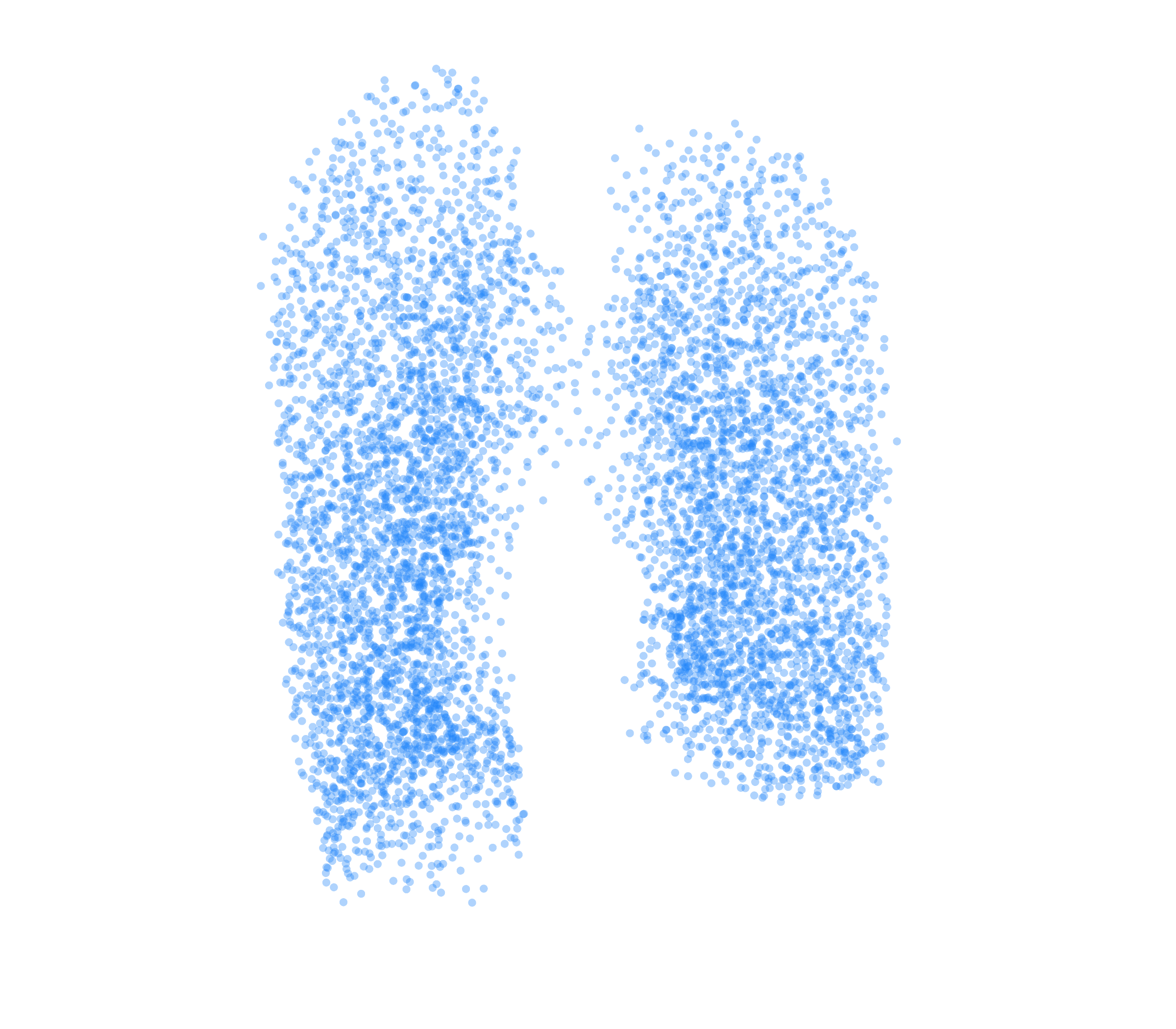 Point Cloud (Inspiration) - Front View