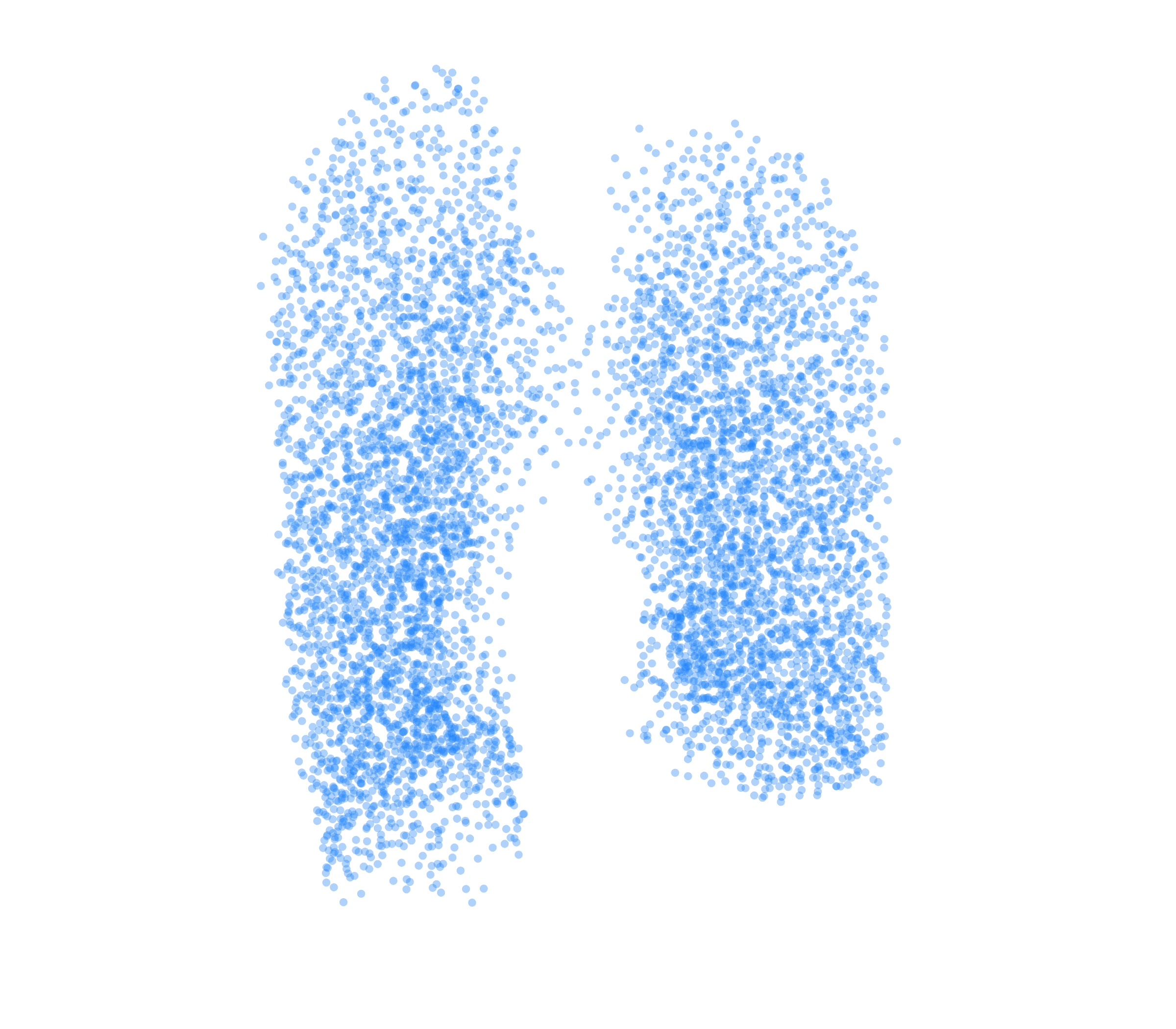 Point Cloud (Inspiration) - Front View