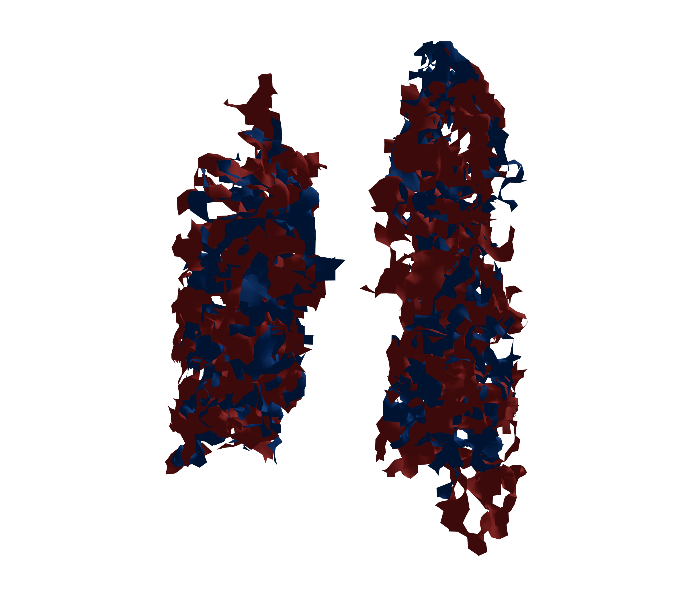 Surface Mesh - Back View