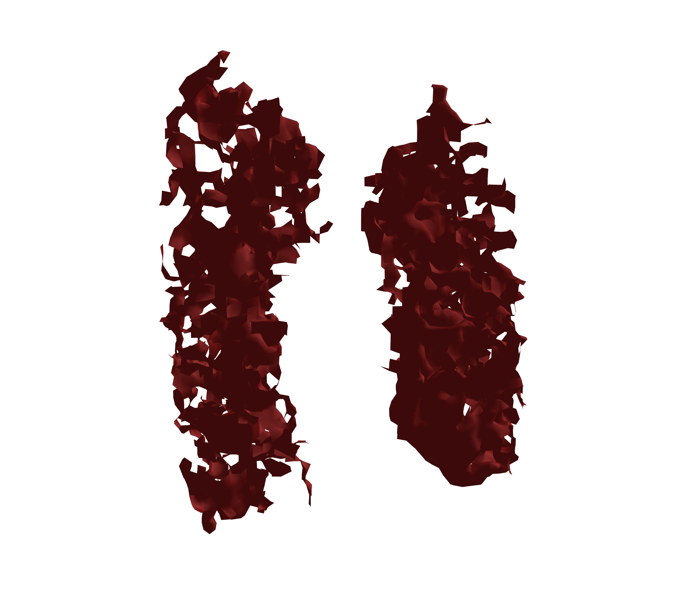 Surface Mesh (Expiration) - Front View