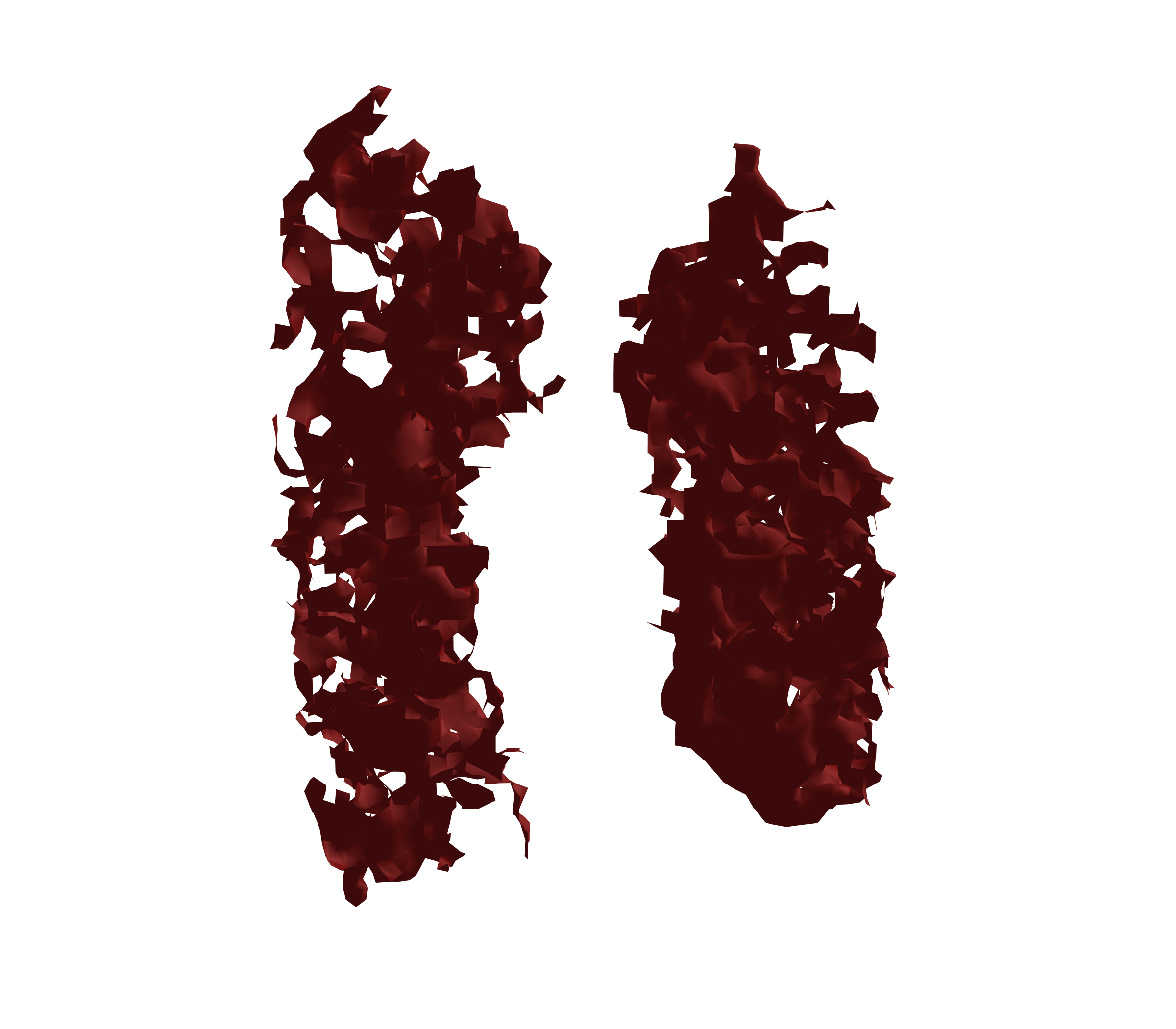 Surface Mesh (Expiration) - Front View