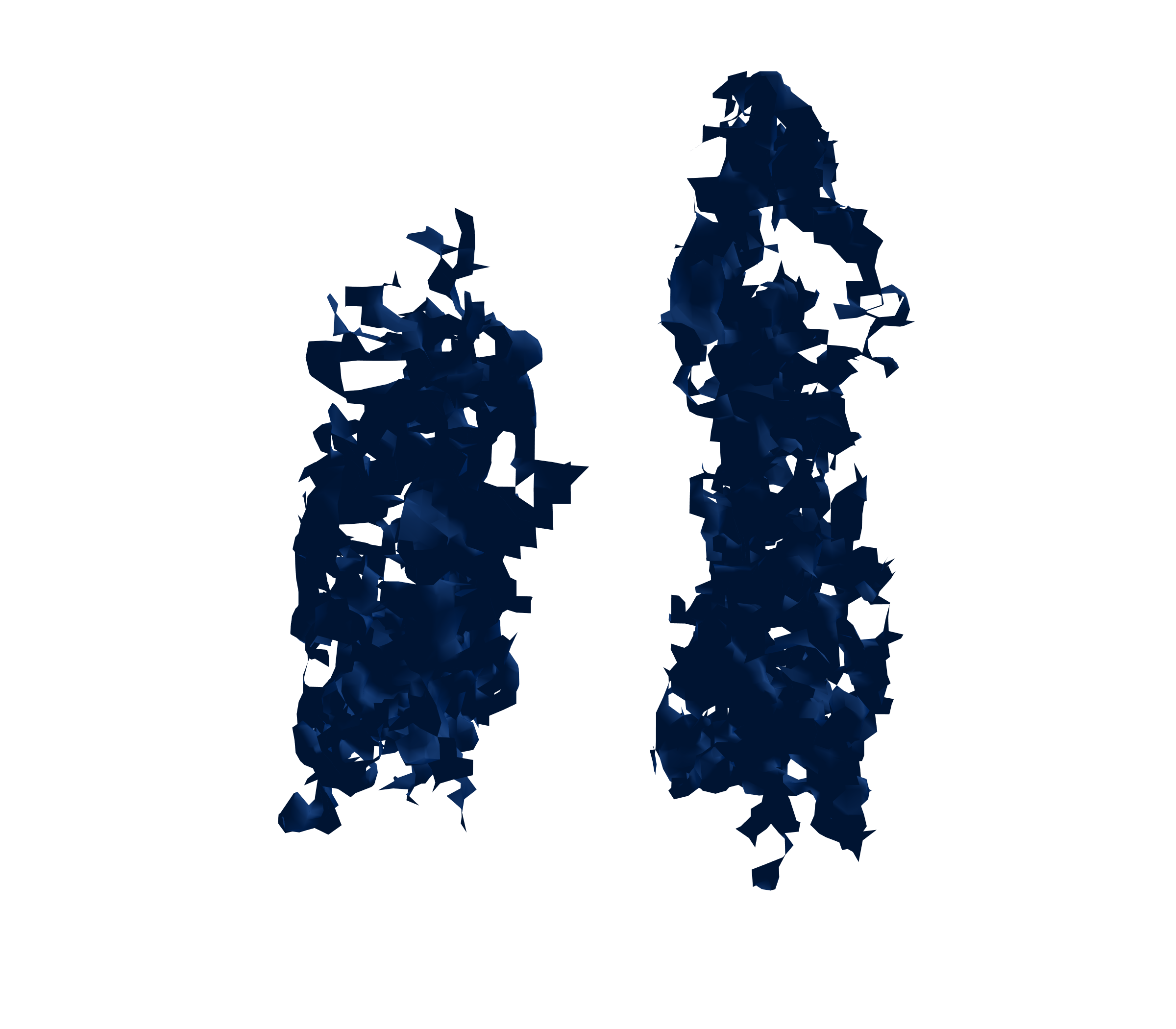 Surface Mesh (Inspiration) - Back View