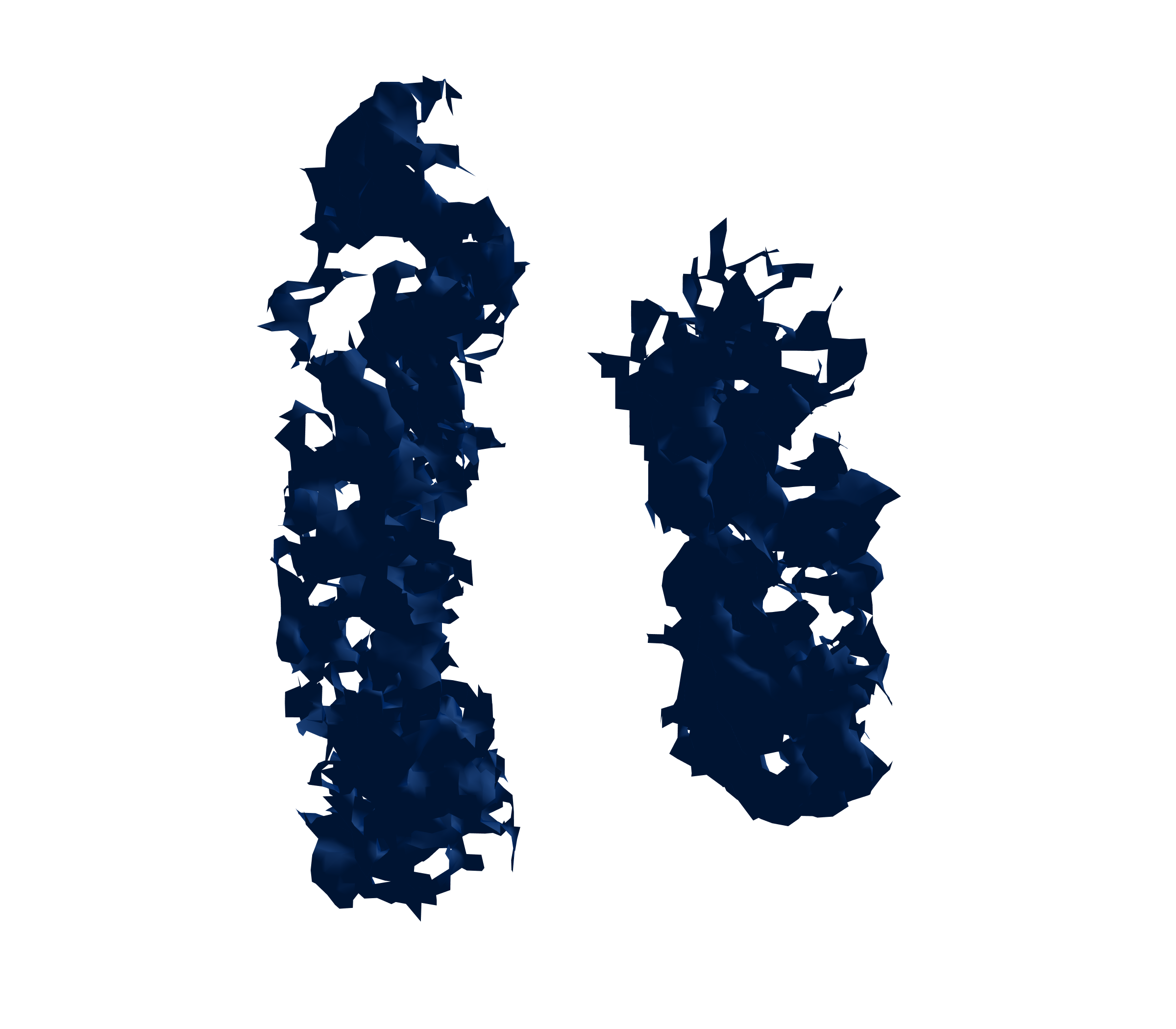 Surface Mesh (Inspiration) - Front View