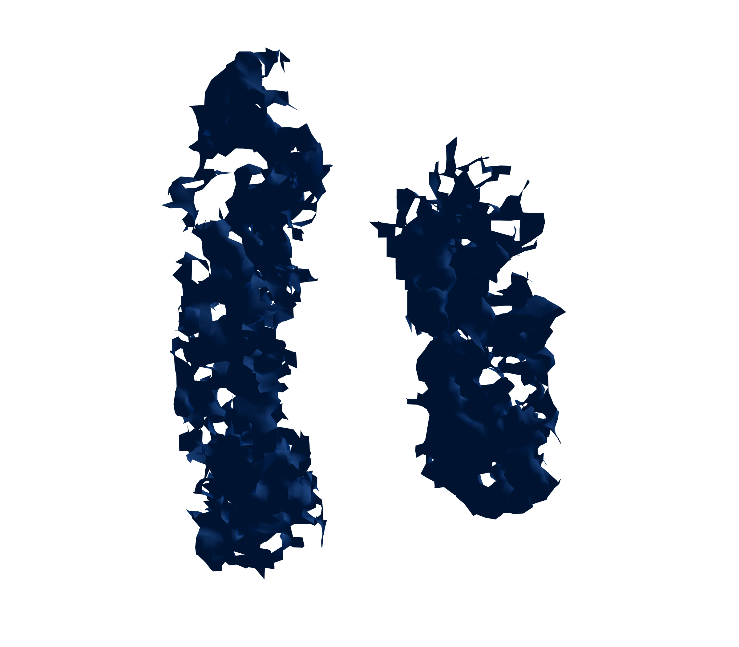 Surface Mesh (Inspiration) - Front View