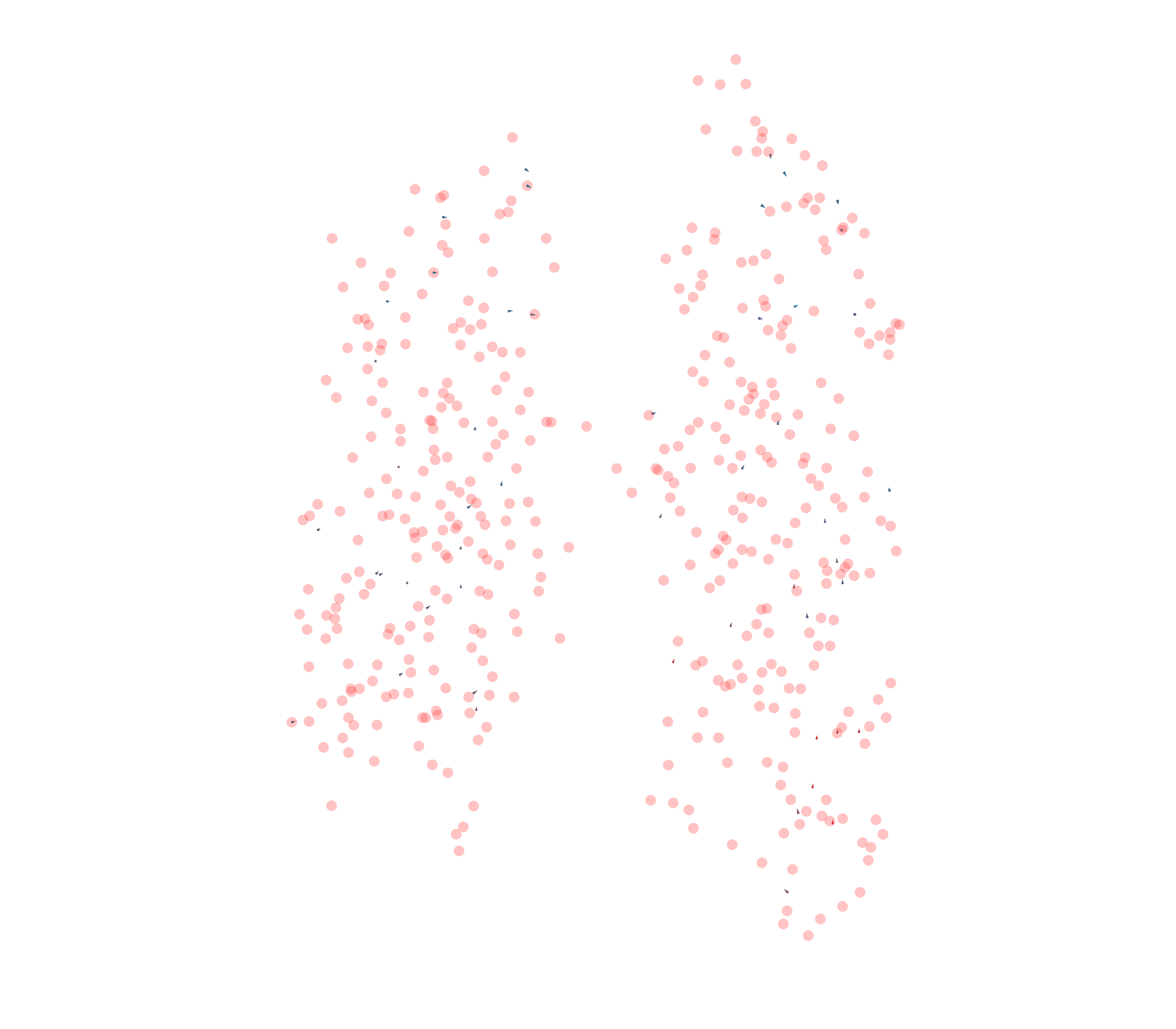 Displacement Vectors - Back View