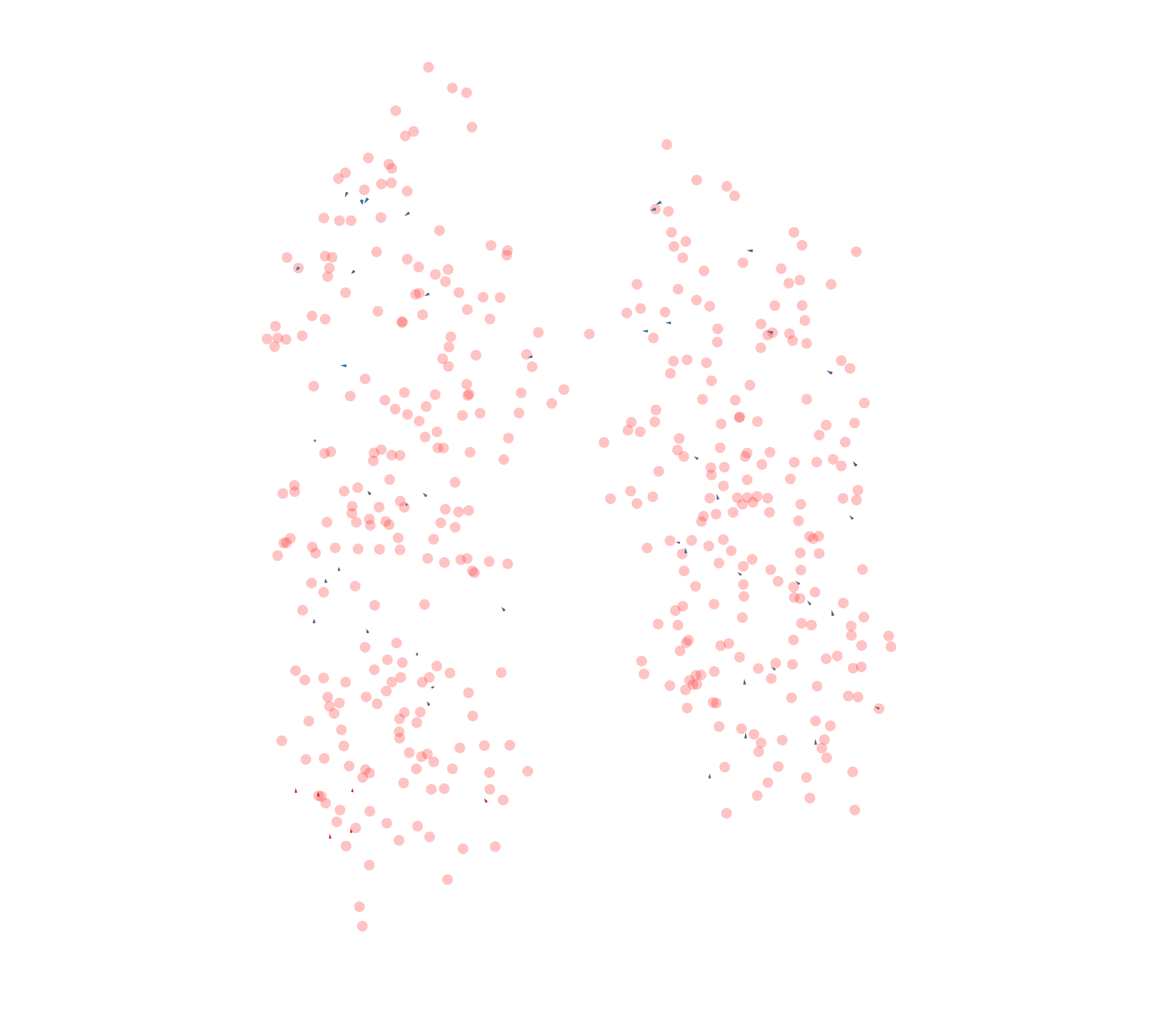 Displacement Vectors - Front View