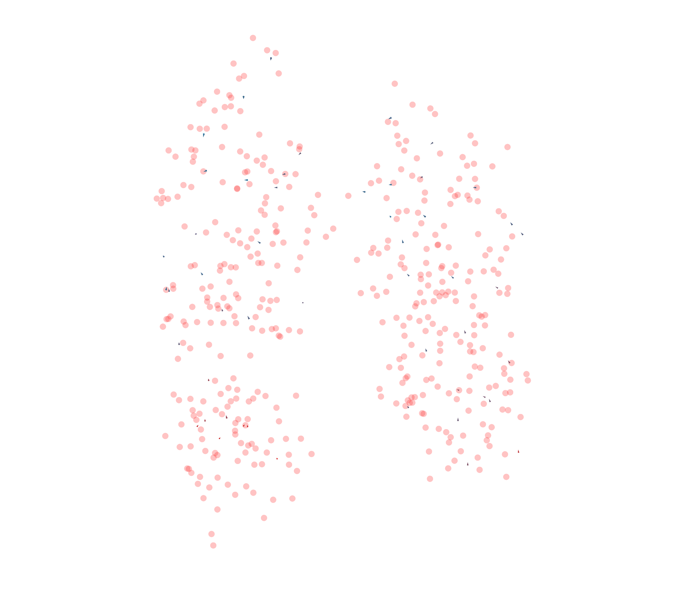 Displacement Vectors - Front View
