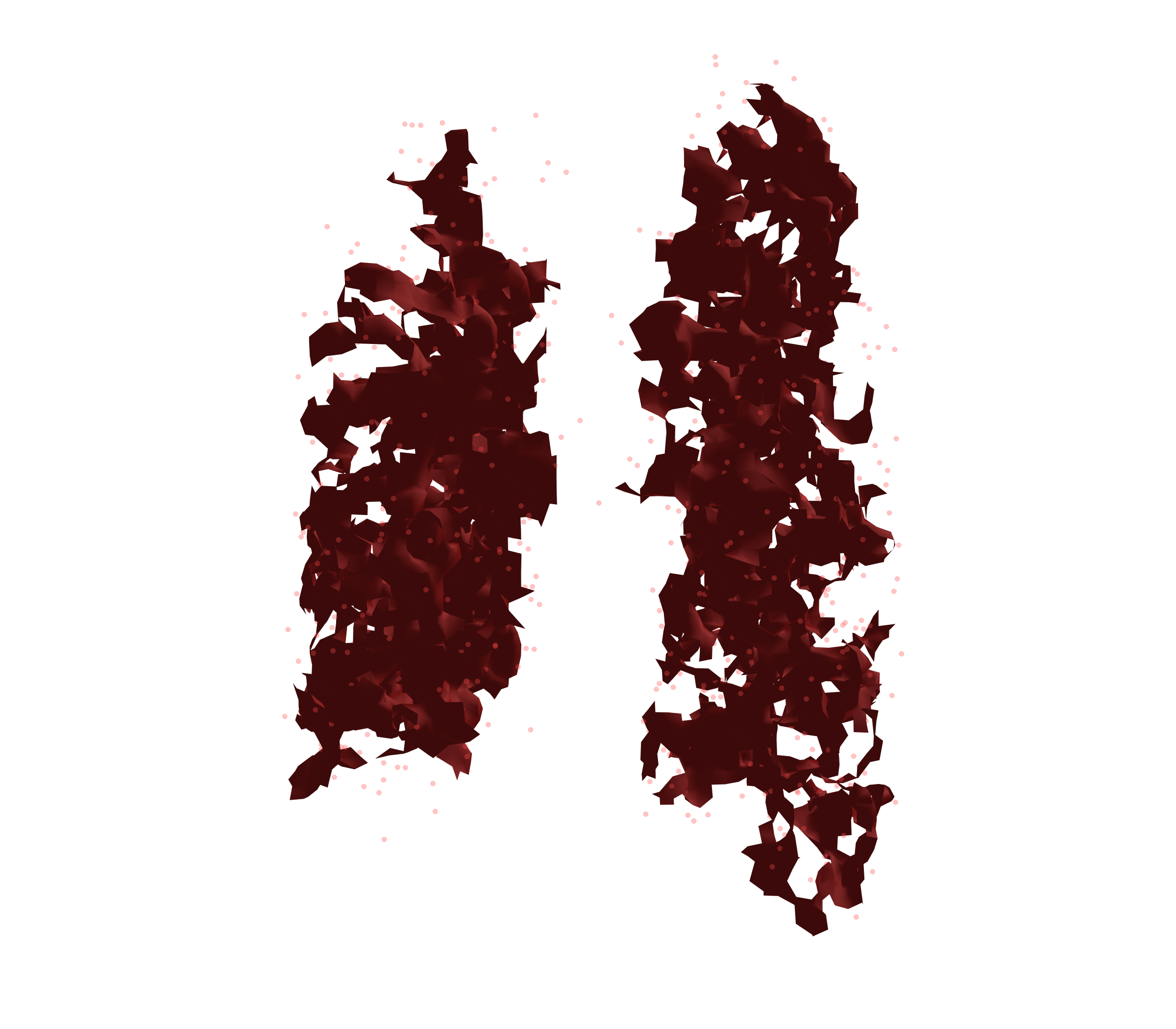 Combined Visualization (Expiration) - Back View