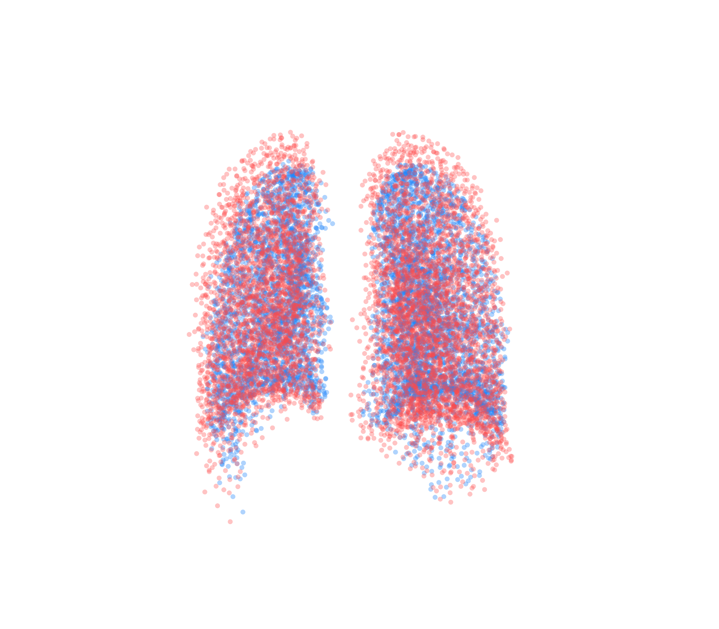 Point Cloud - Back View