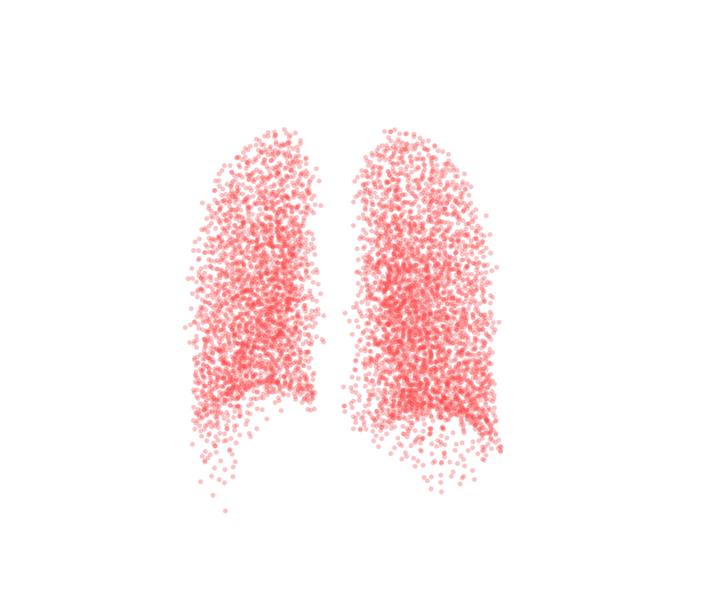 Point Cloud (Expiration) - Back View