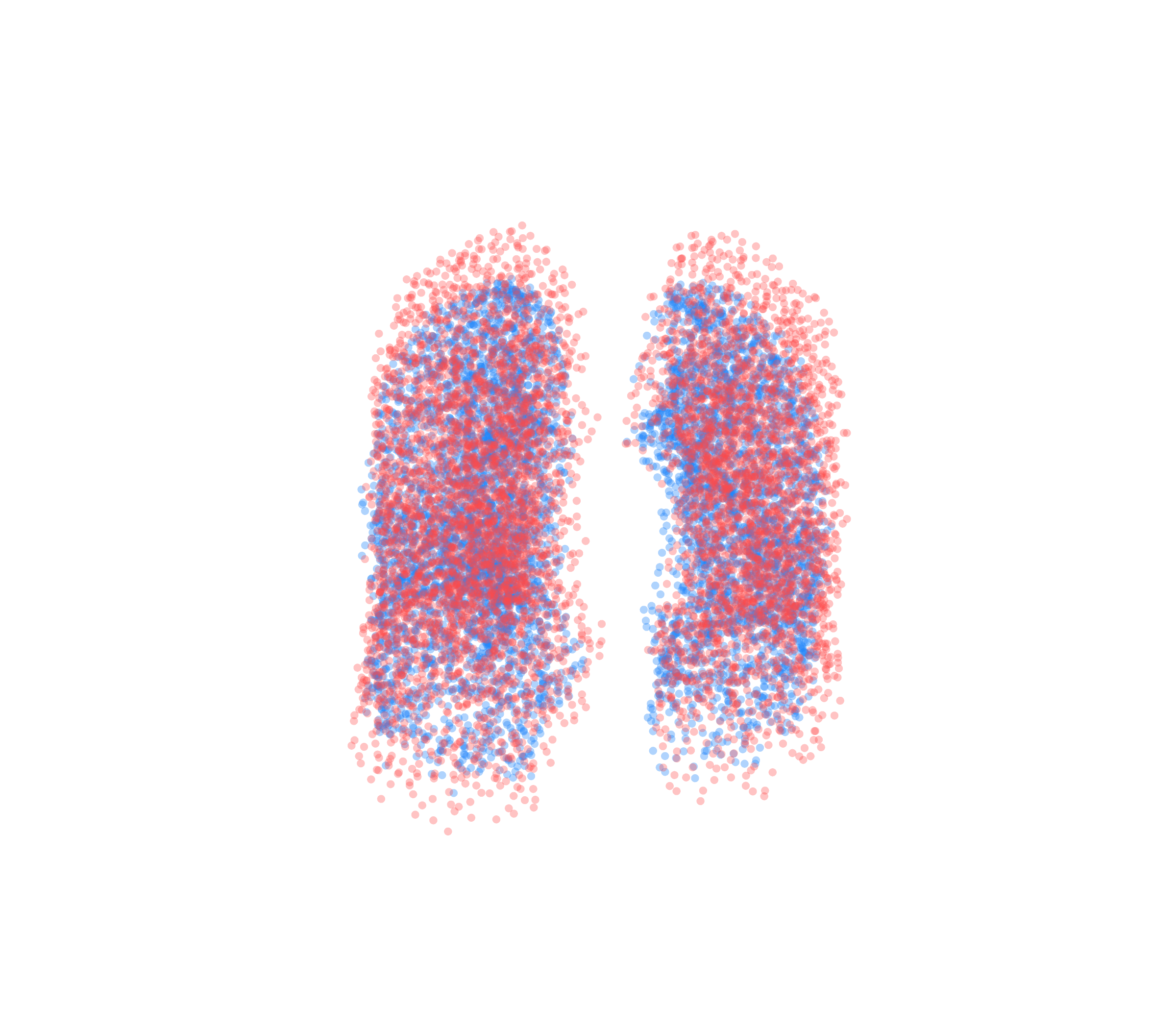 Point Cloud - Front View