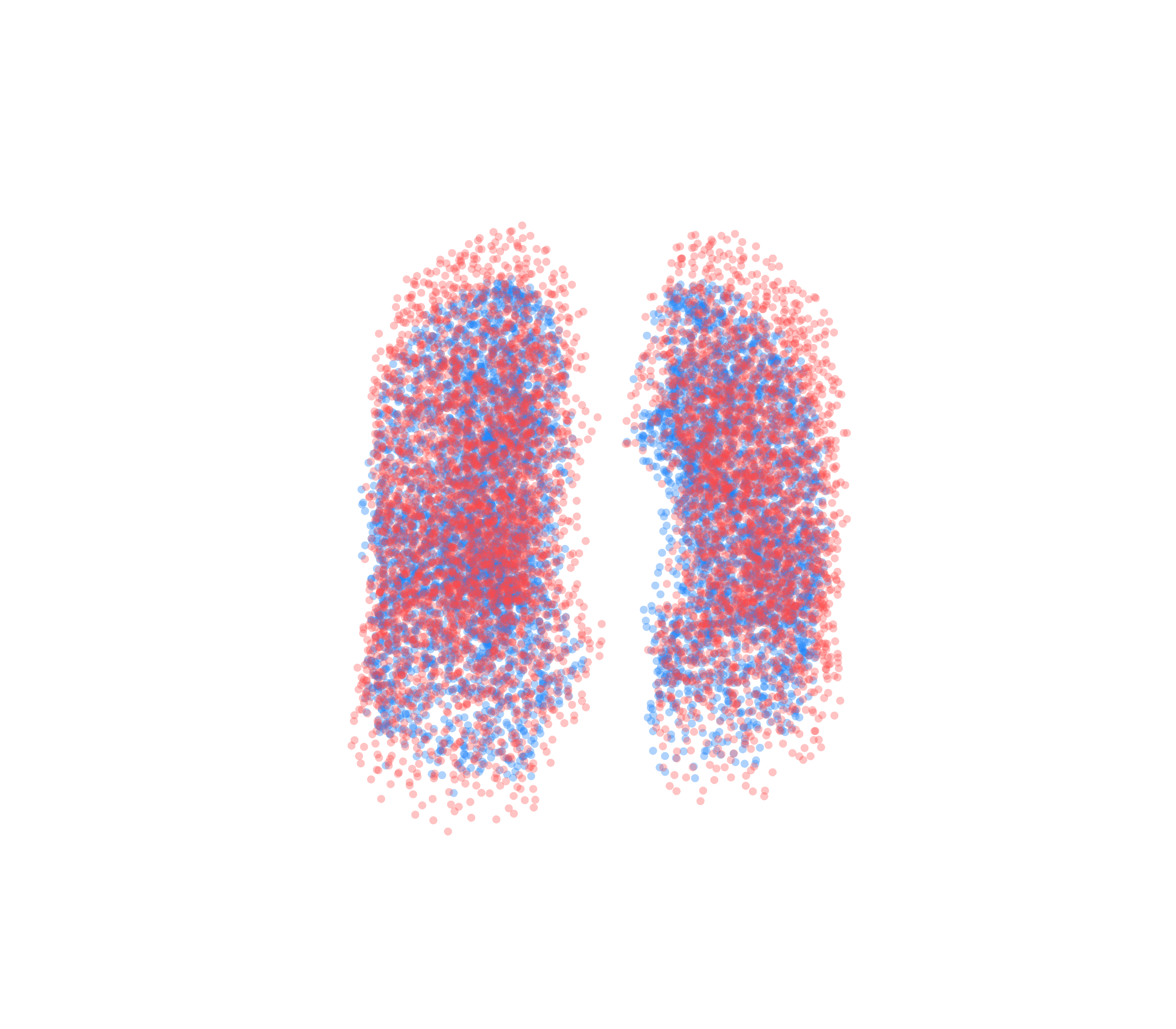 Point Cloud - Front View