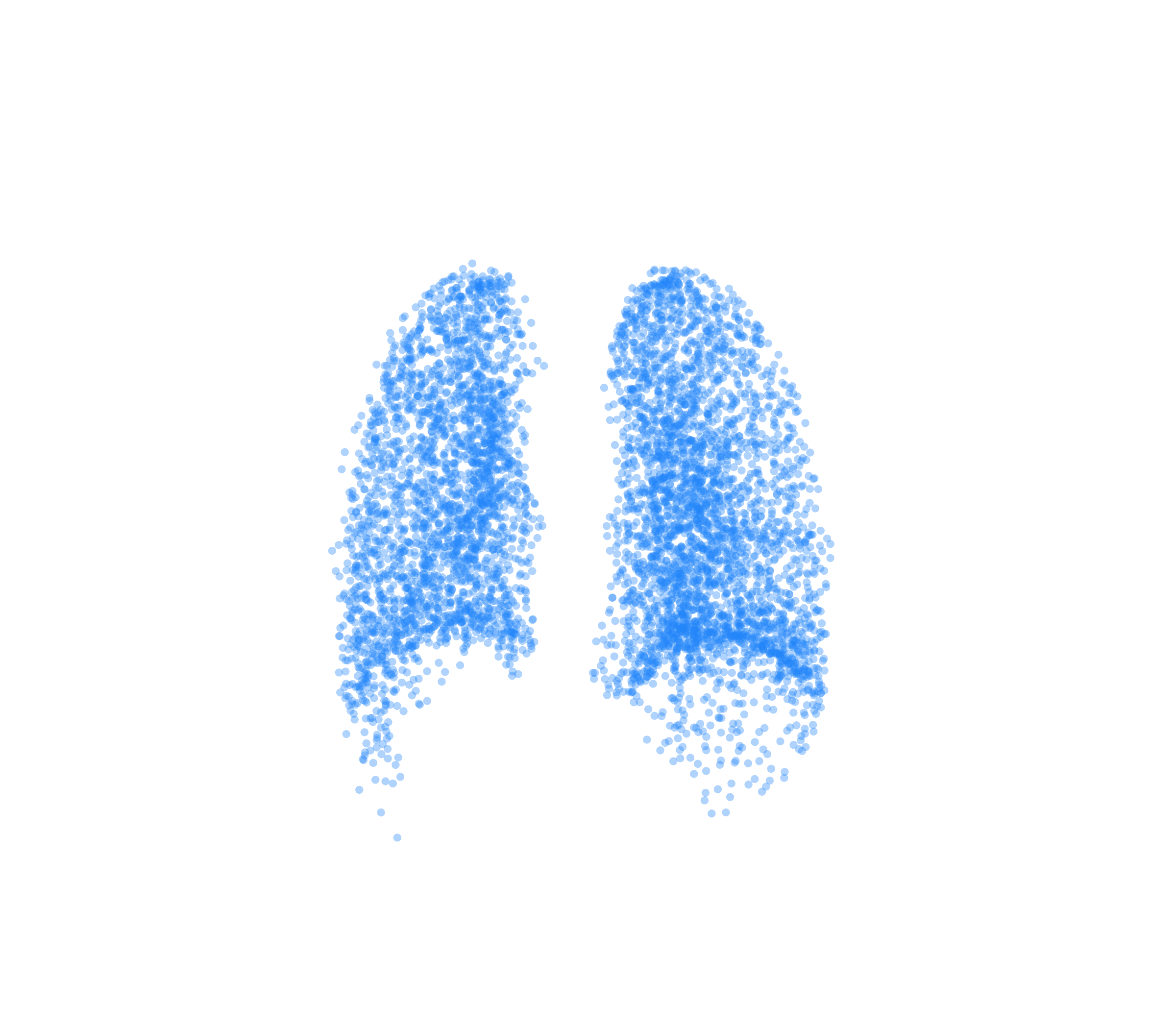 Point Cloud (Inspiration) - Back View