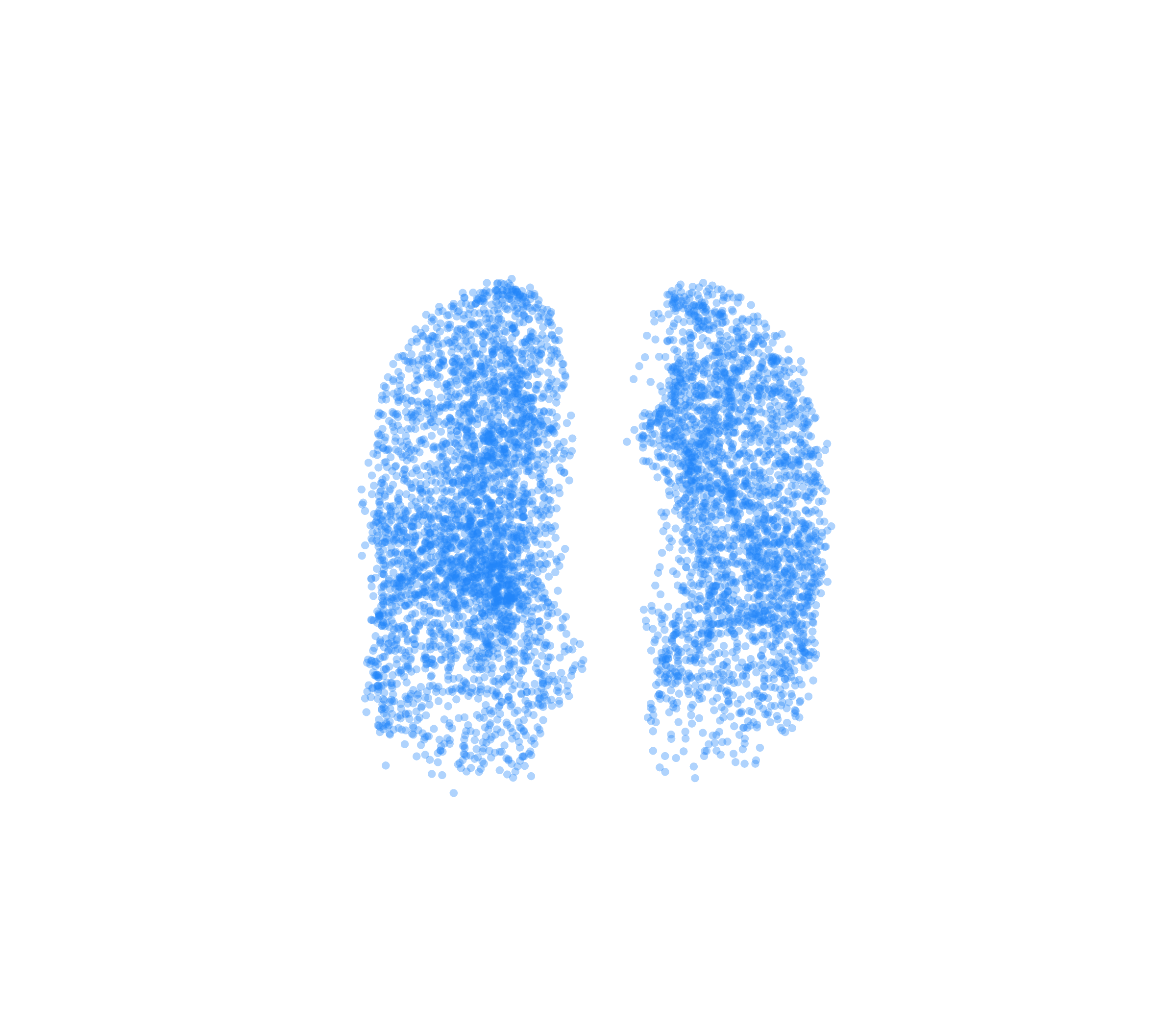 Point Cloud (Inspiration) - Front View