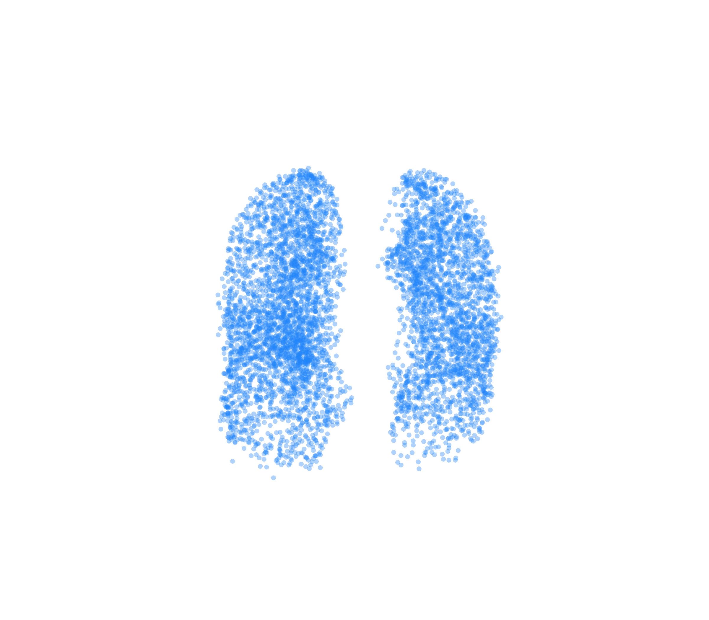 Point Cloud (Inspiration) - Front View