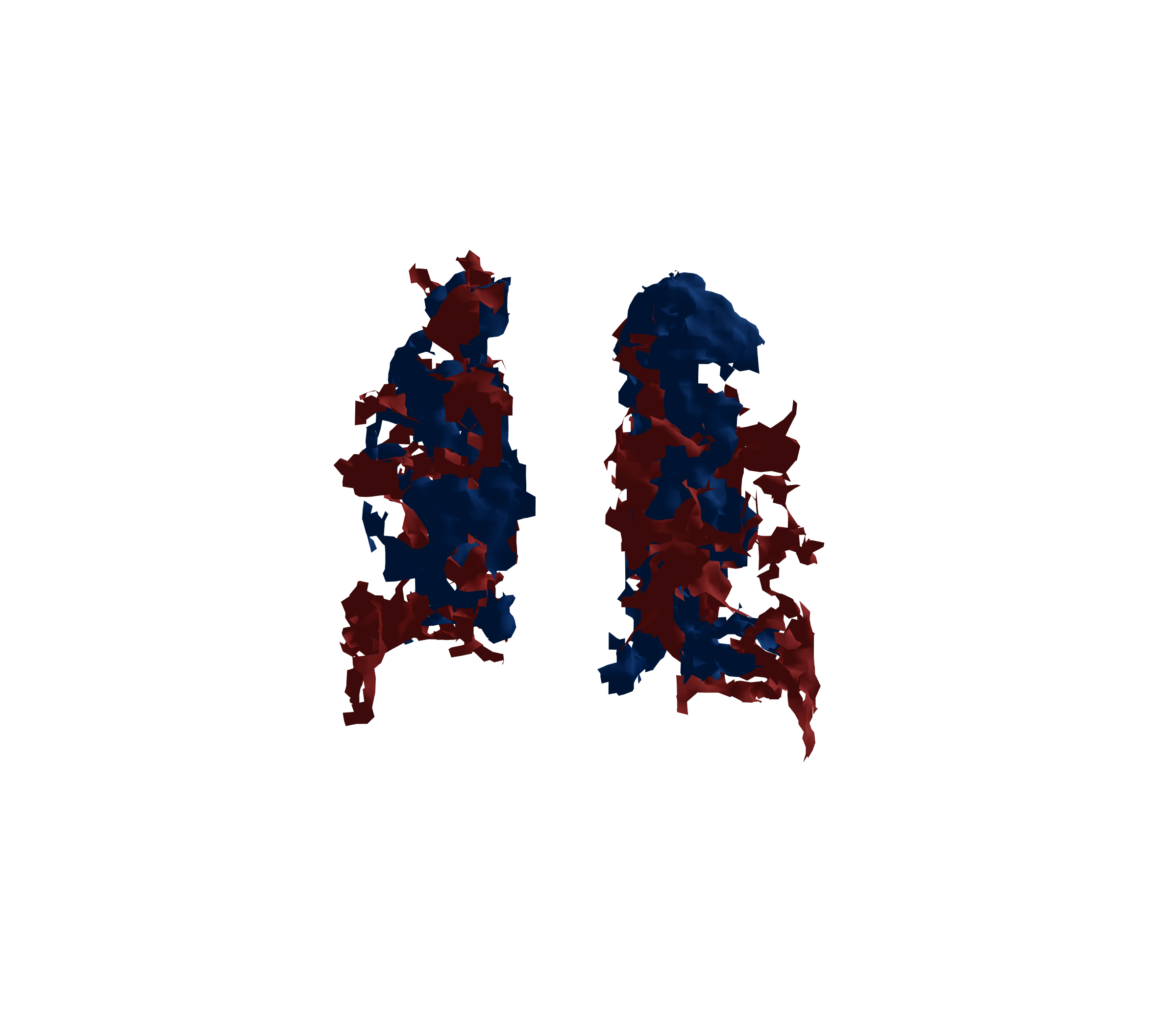 Surface Mesh - Back View