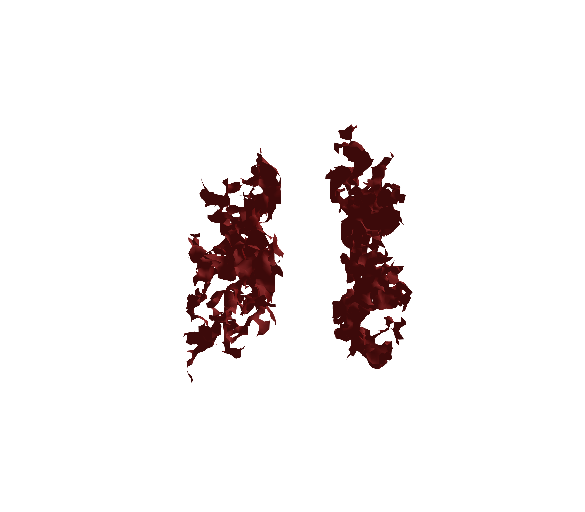 Surface Mesh (Expiration) - Front View