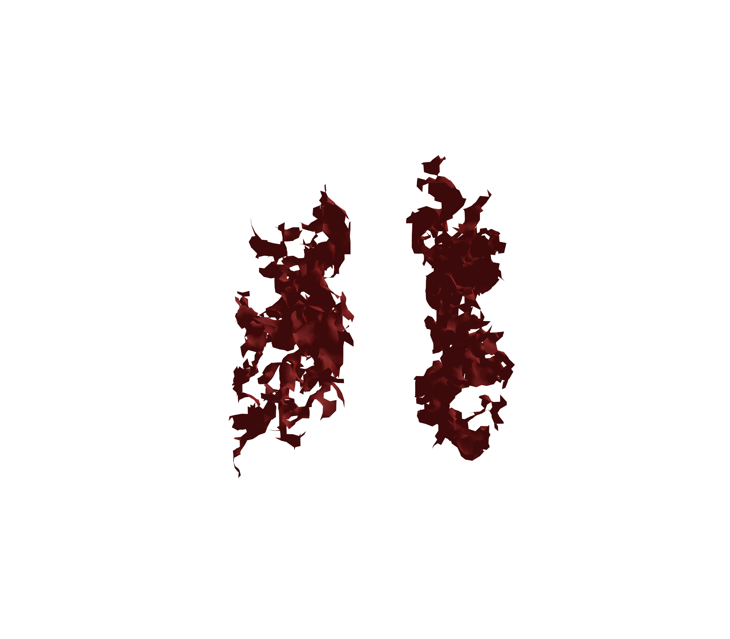 Surface Mesh (Expiration) - Front View