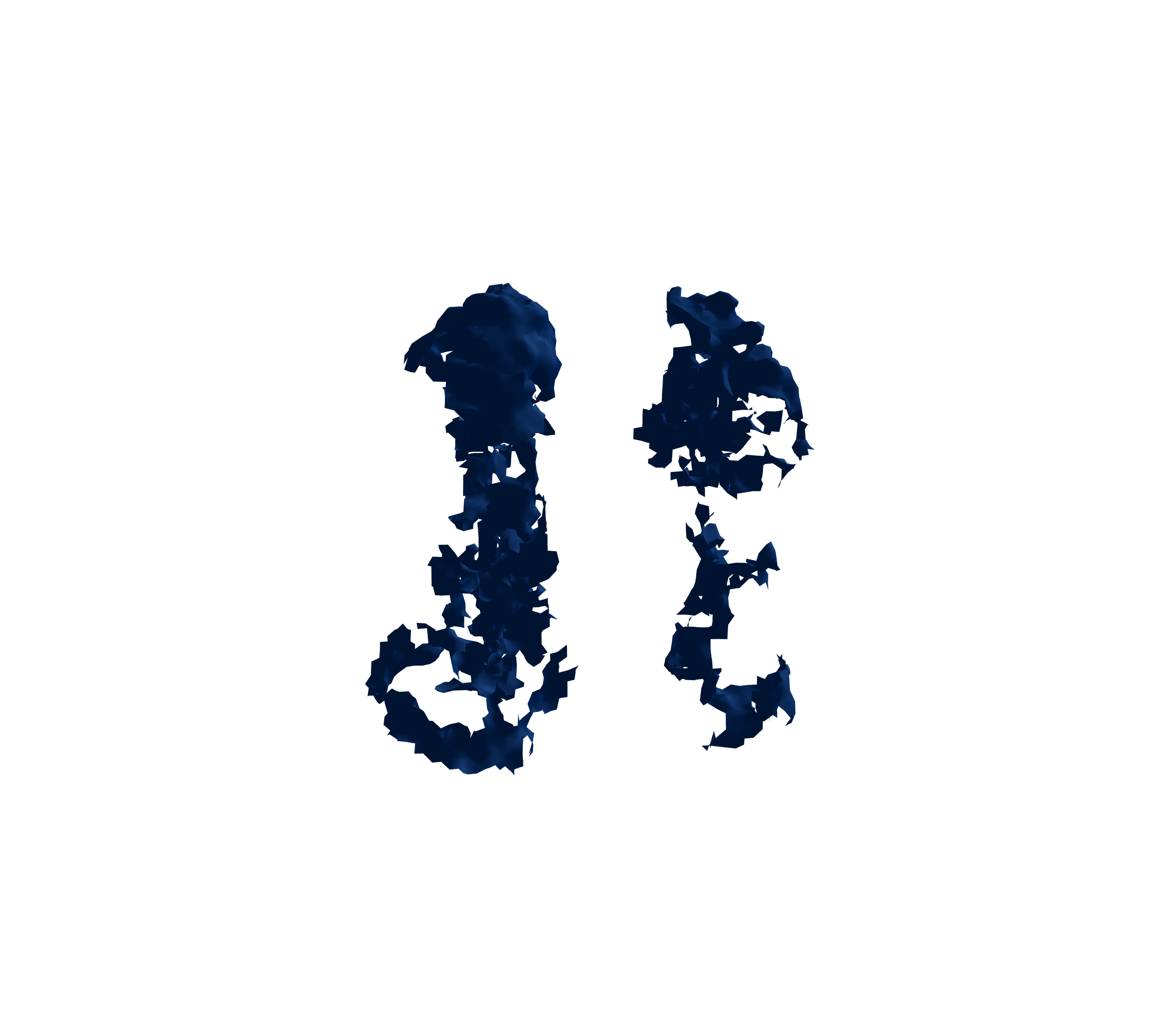 Surface Mesh (Inspiration) - Front View