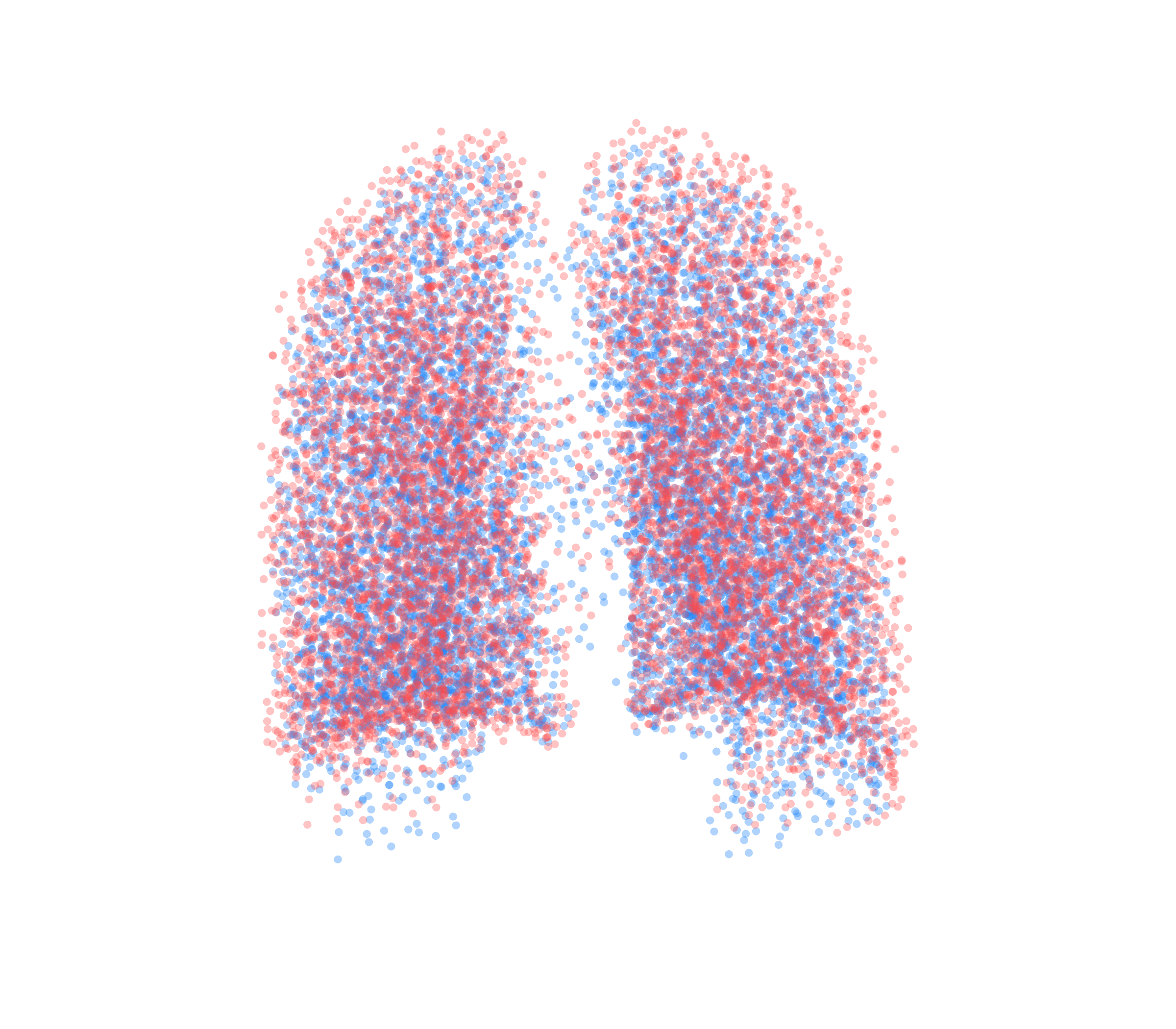 Point Cloud - Back View