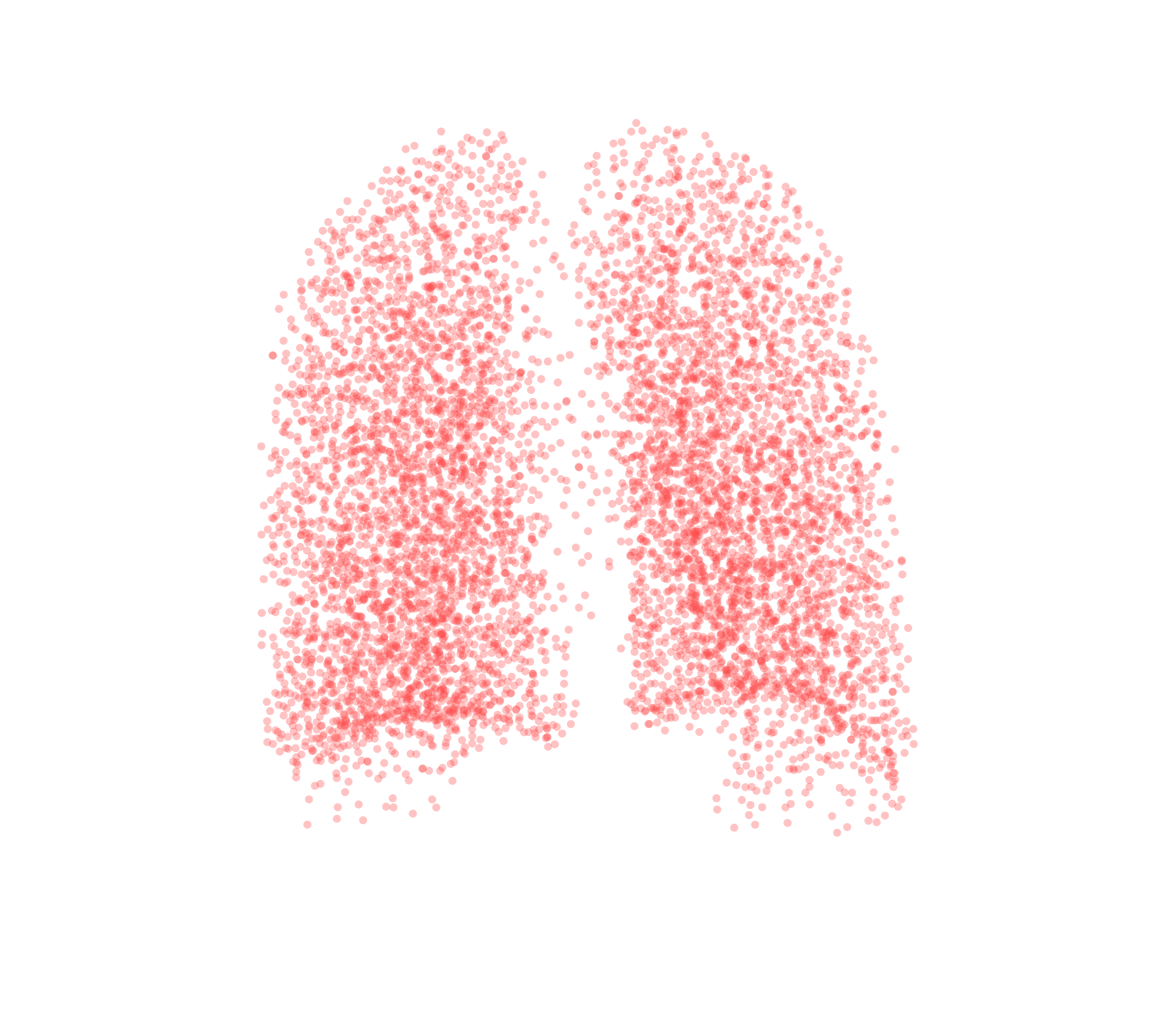Point Cloud (Expiration) - Back View