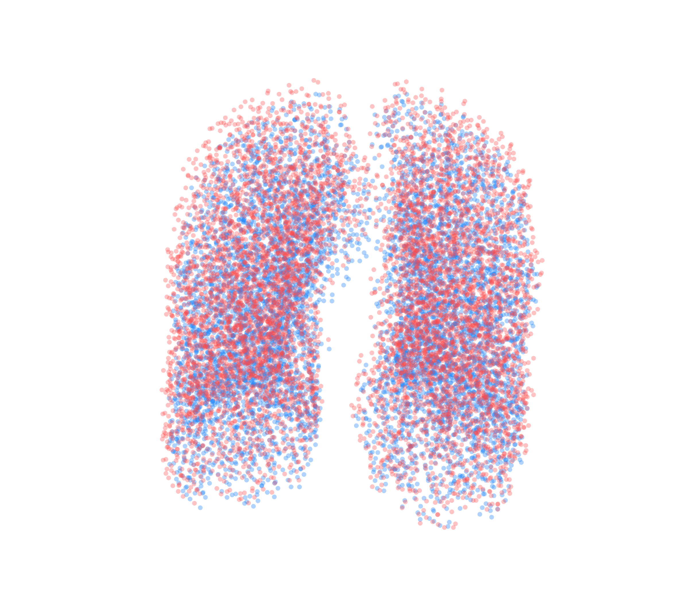 Point Cloud - Front View