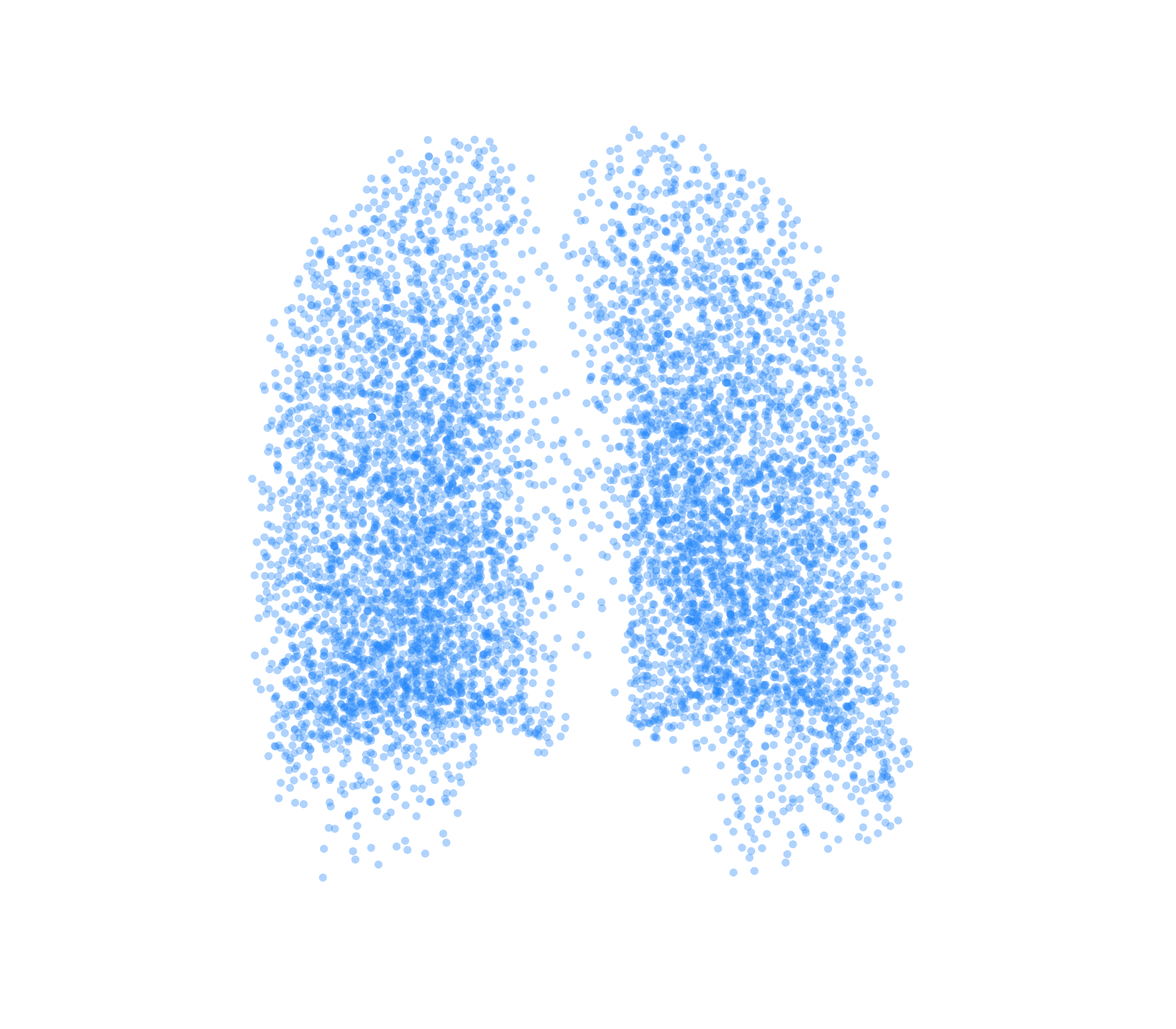 Point Cloud (Inspiration) - Back View