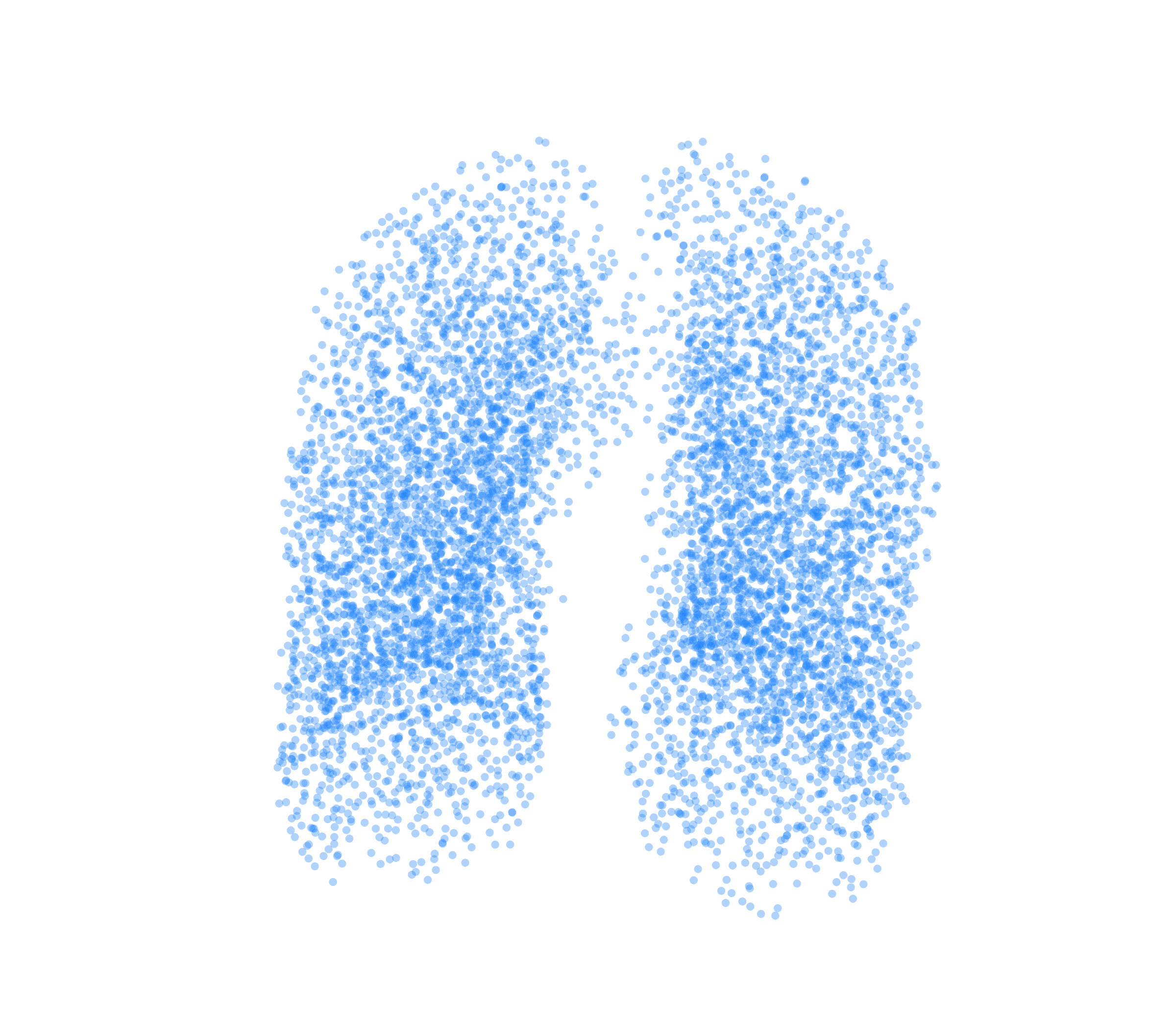 Point Cloud (Inspiration) - Front View