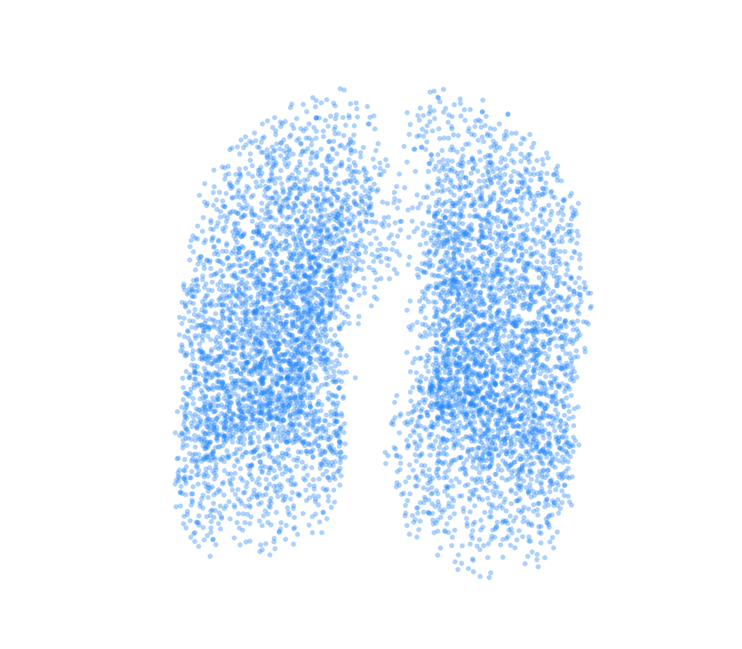 Point Cloud (Inspiration) - Front View
