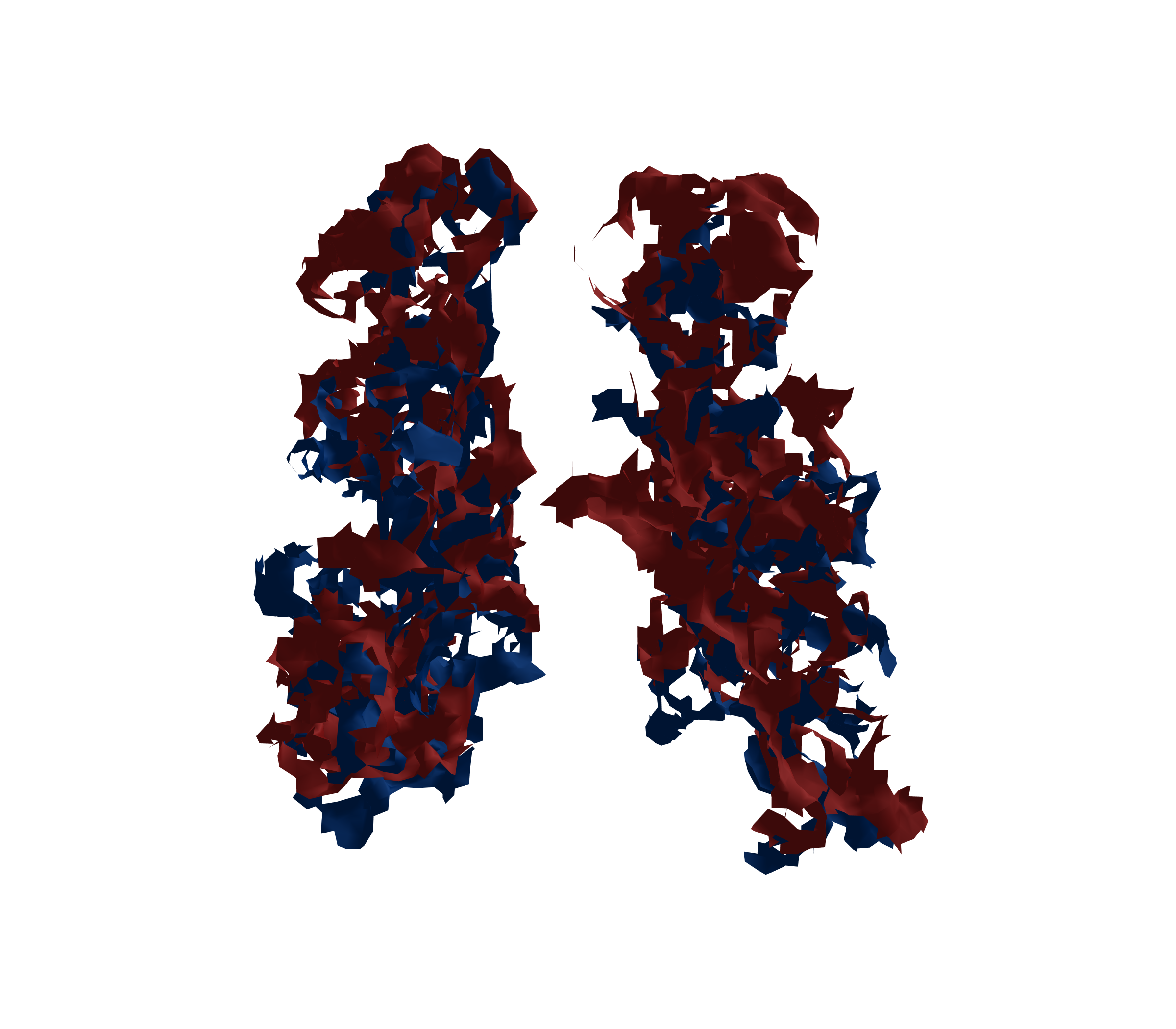 Surface Mesh - Back View